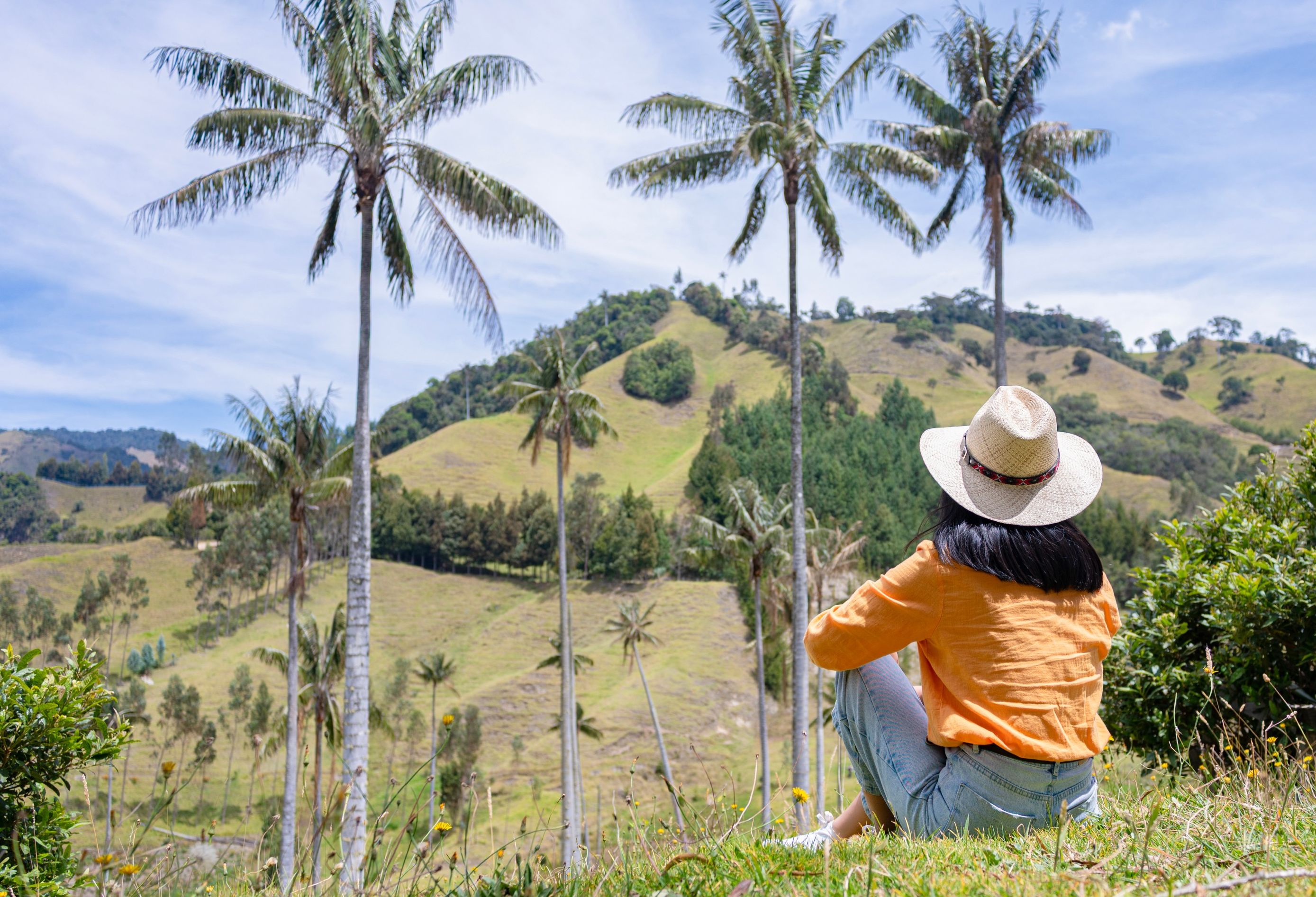 Cocora-Vallei met Waspalmen in Colombia