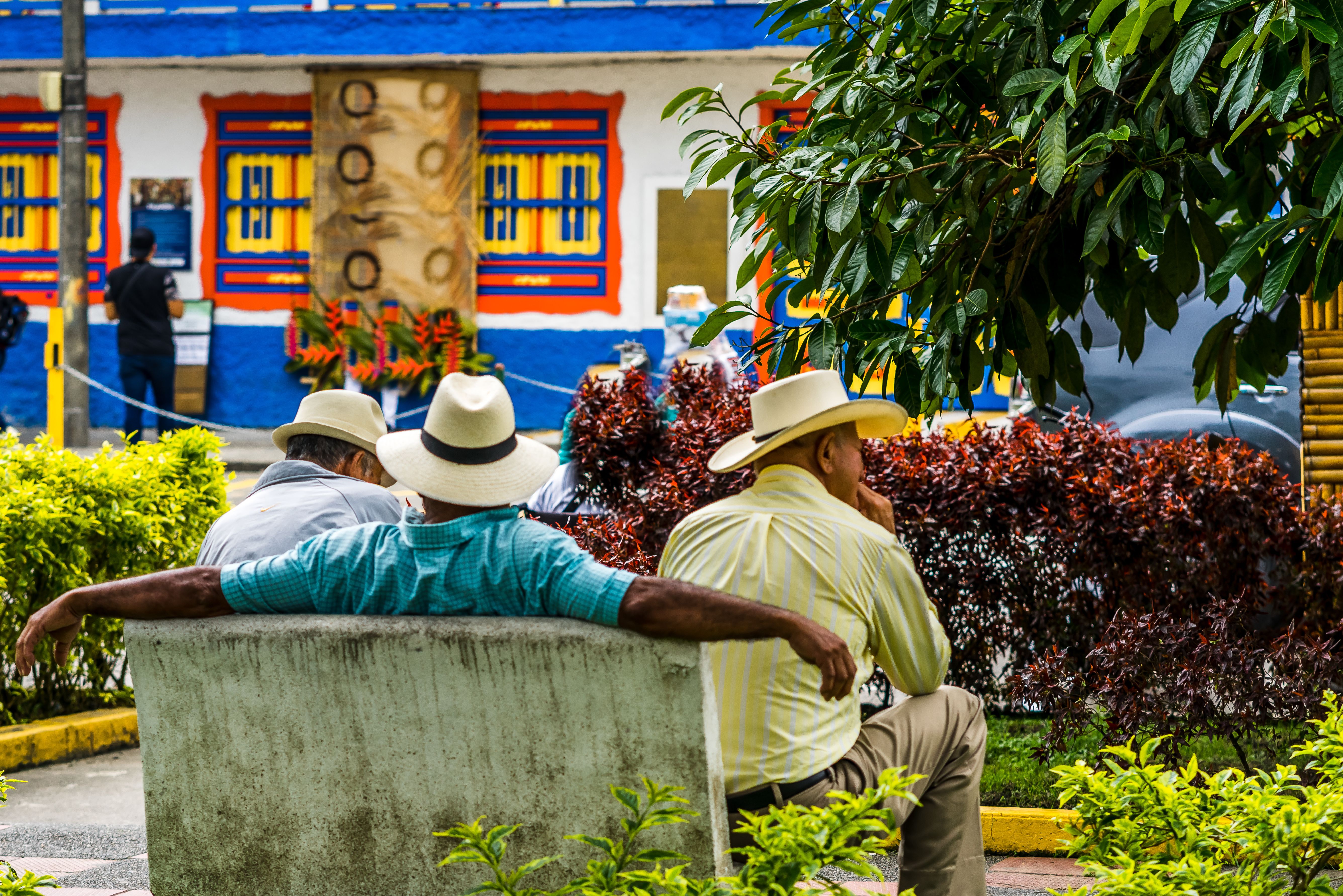 Colombia Filandia Koffiedriehoek