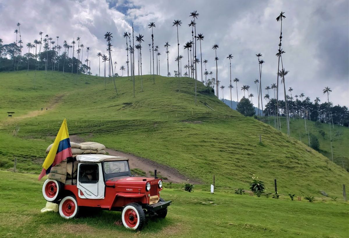 Colombia Cocora Vallei