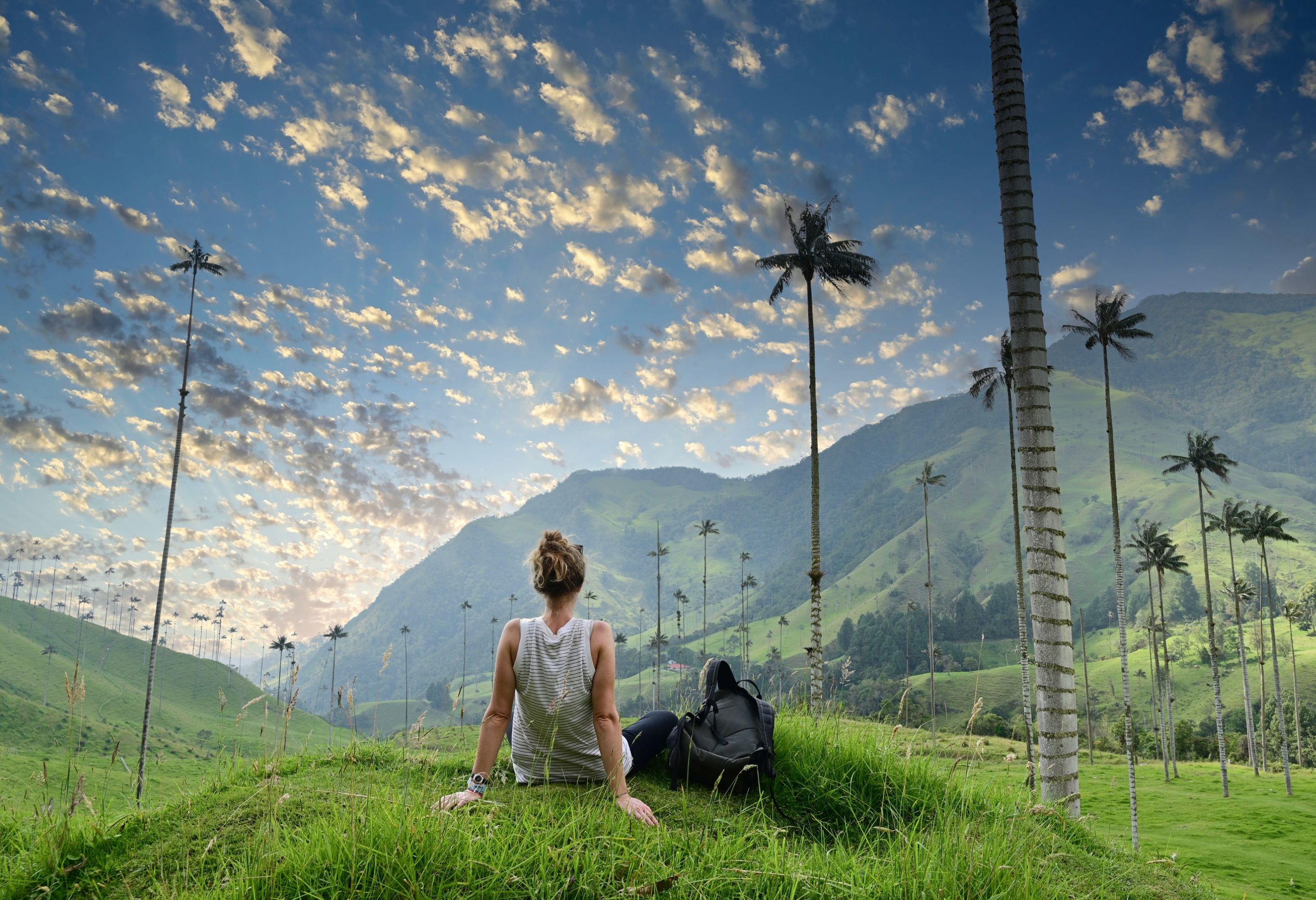 Colombia Cocora Vallei