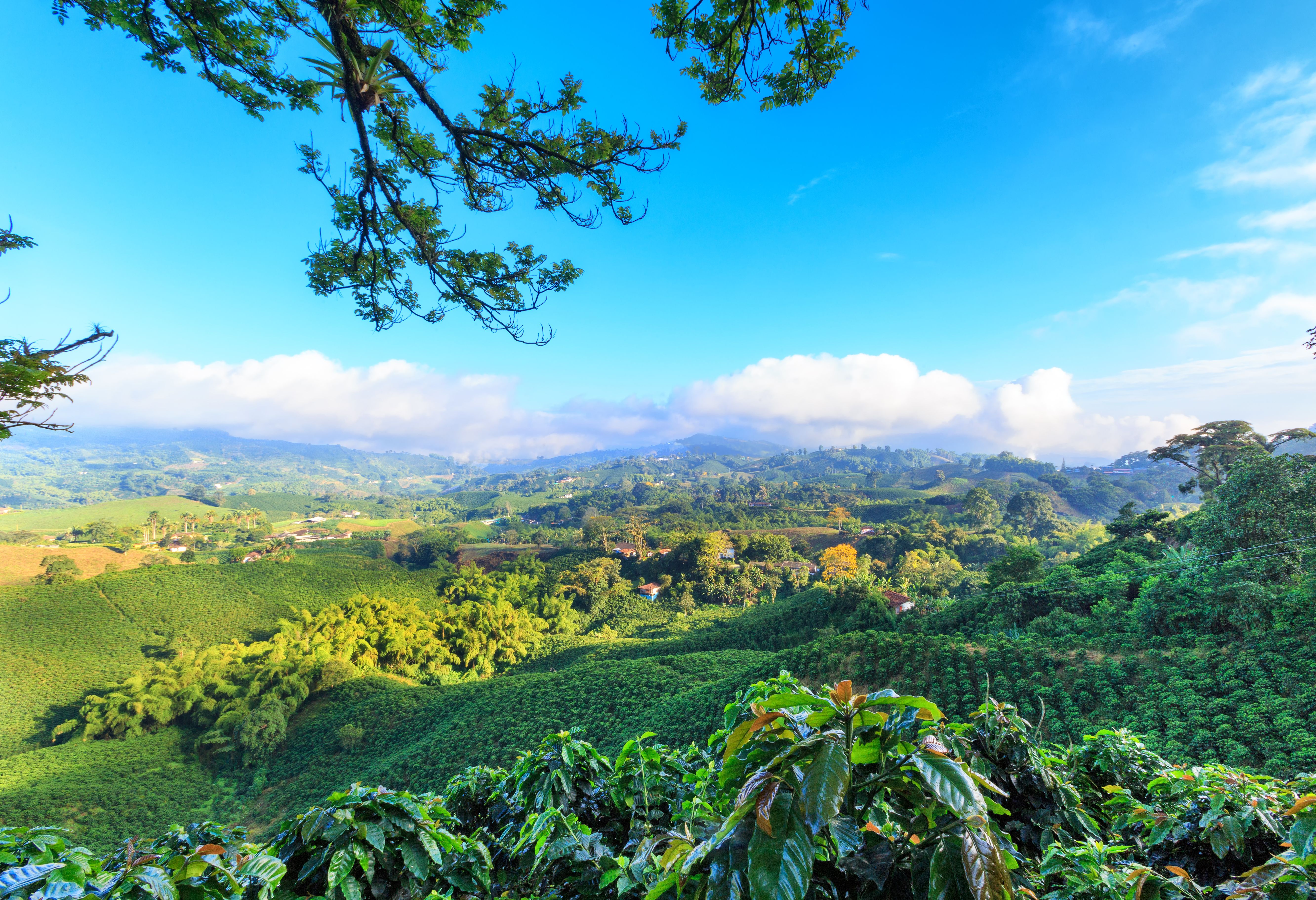 Colombia Manizales omgeving Pereira