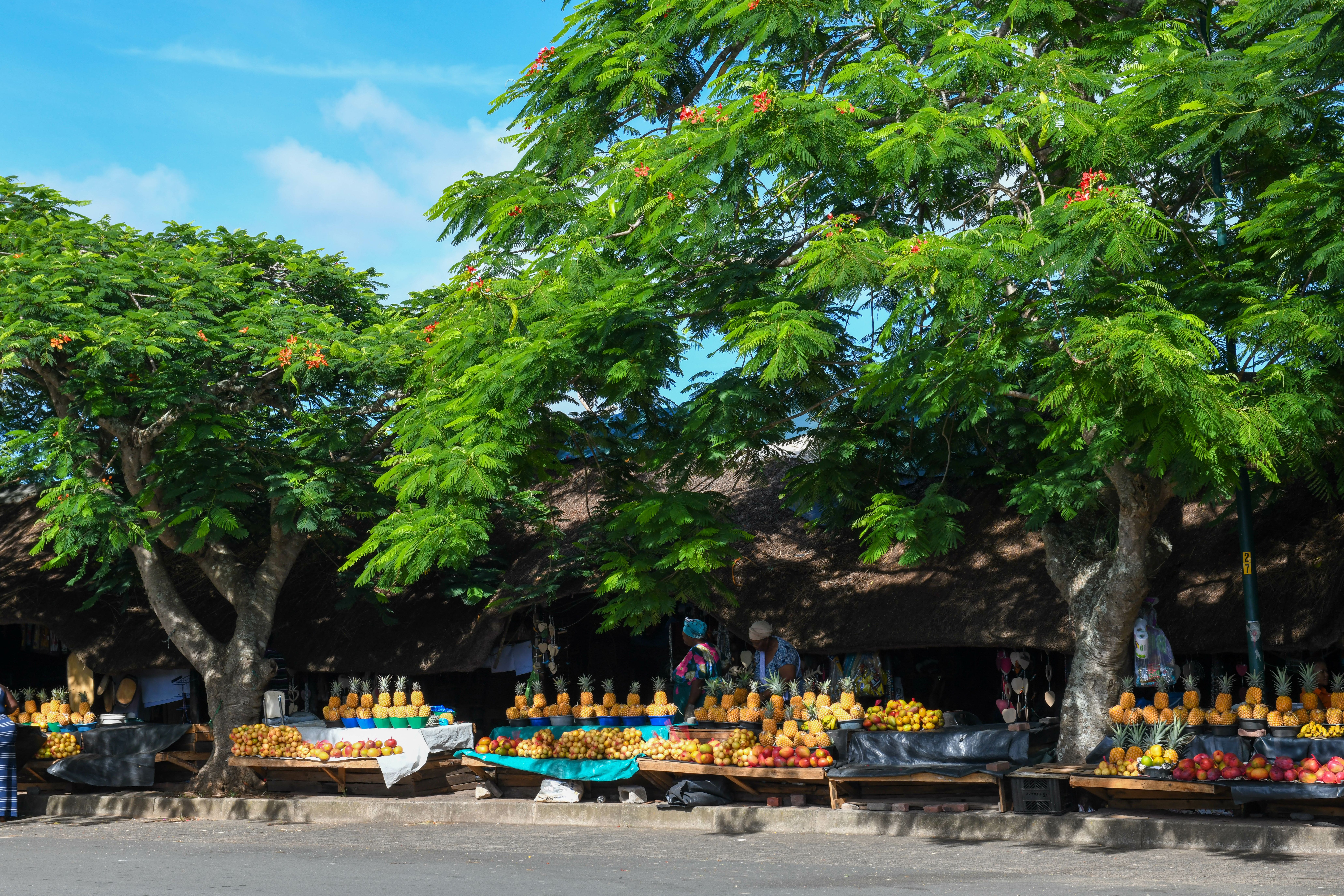 St. Lucia - Zuid-Afrika