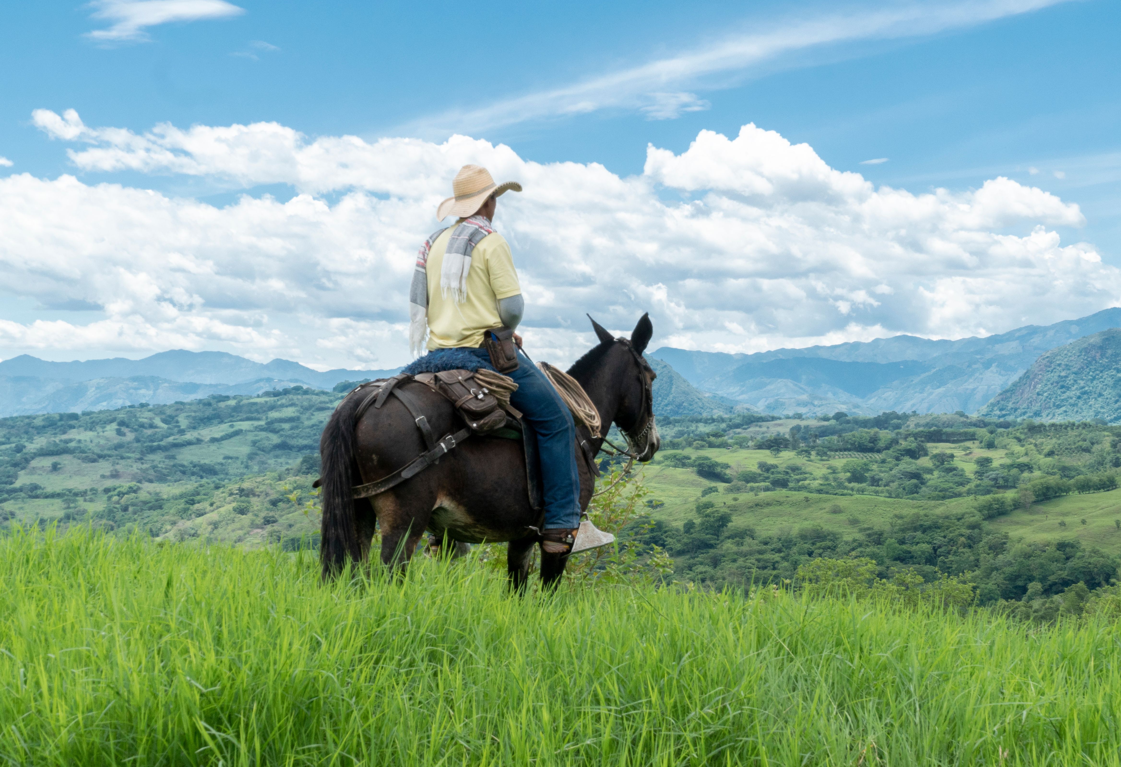 Paardrijden Los Llanos, Colombia