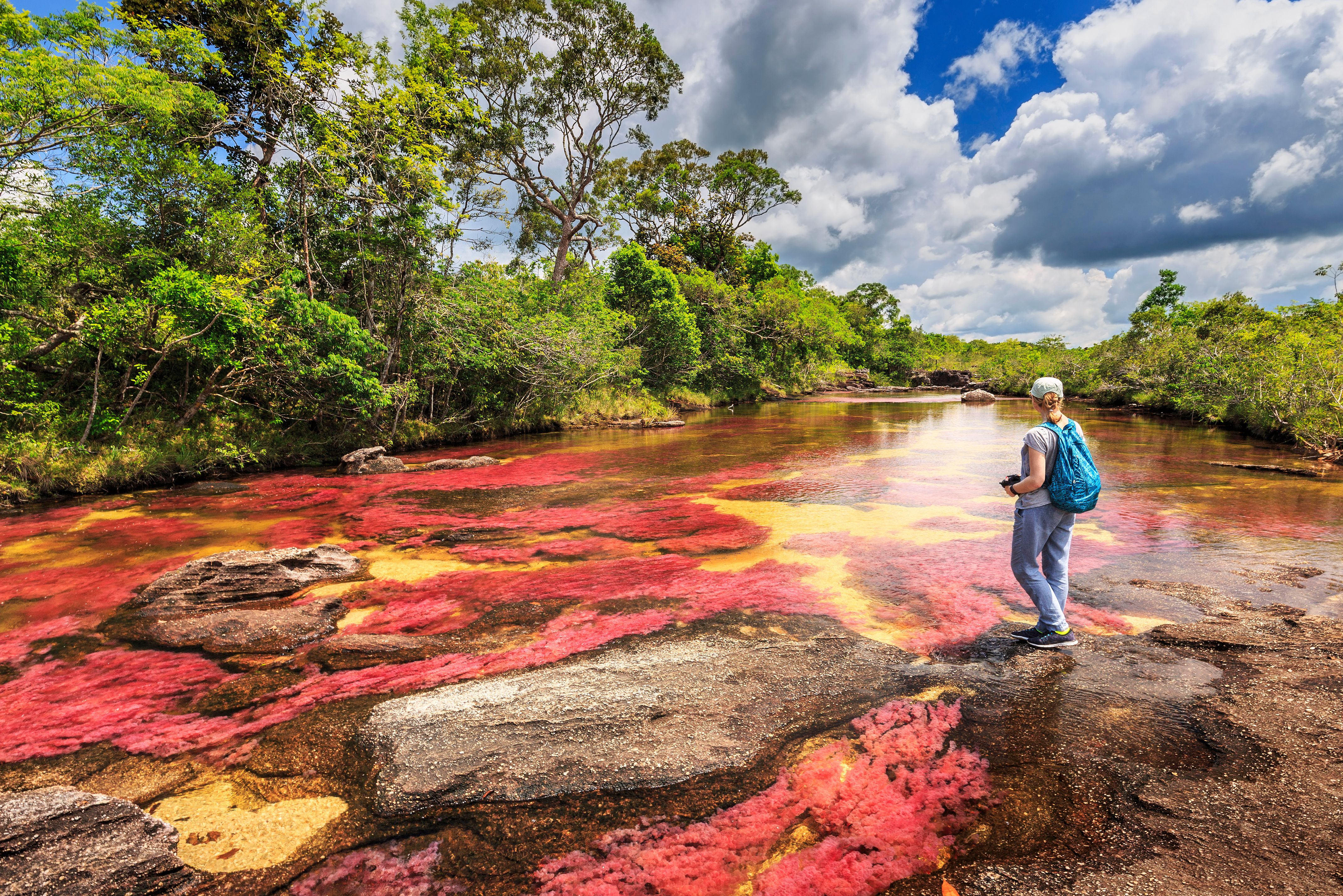 Cano Cristales in Colombia