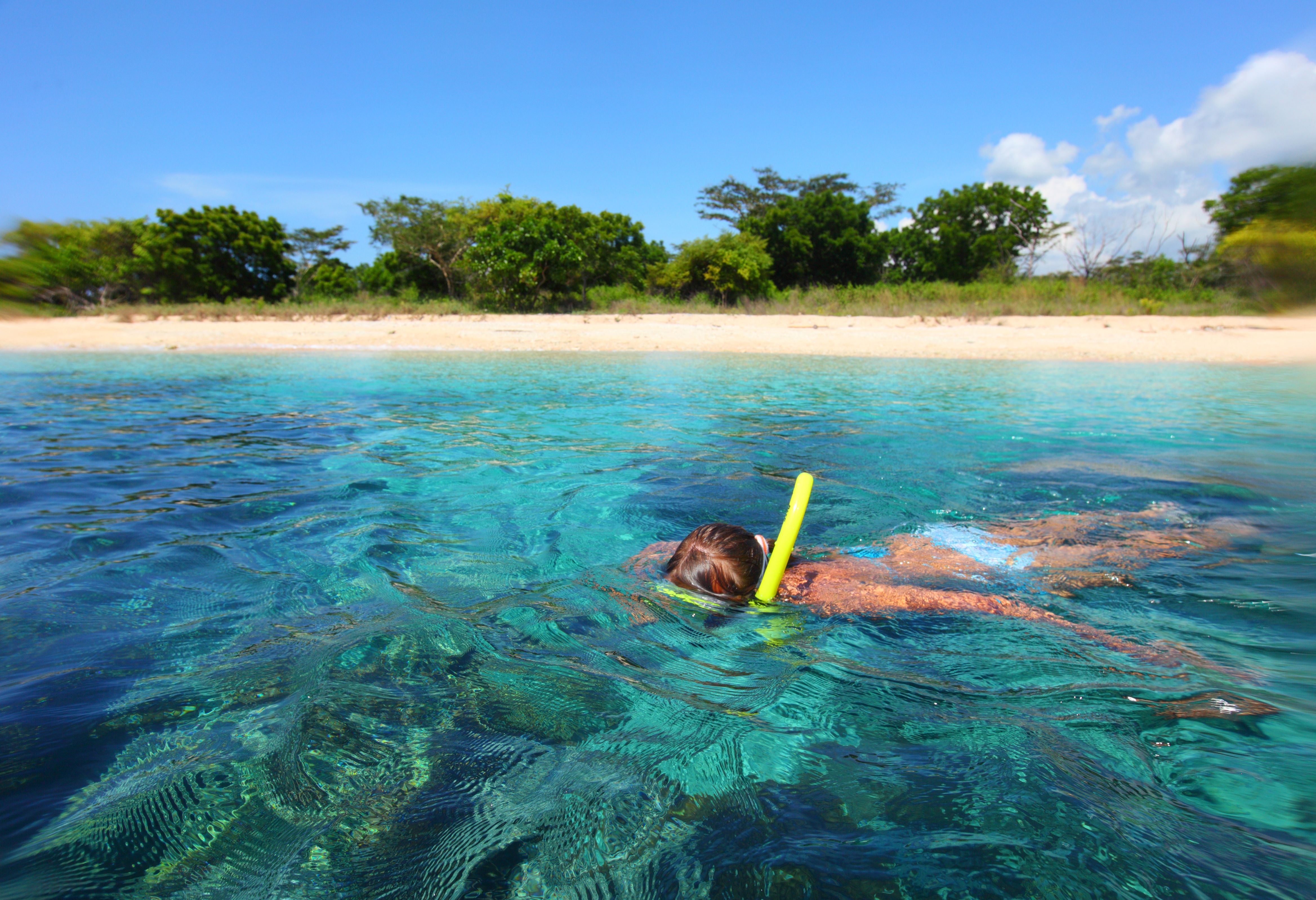 Snorkelen bij Pemuteran en Menjangan Island op Bali