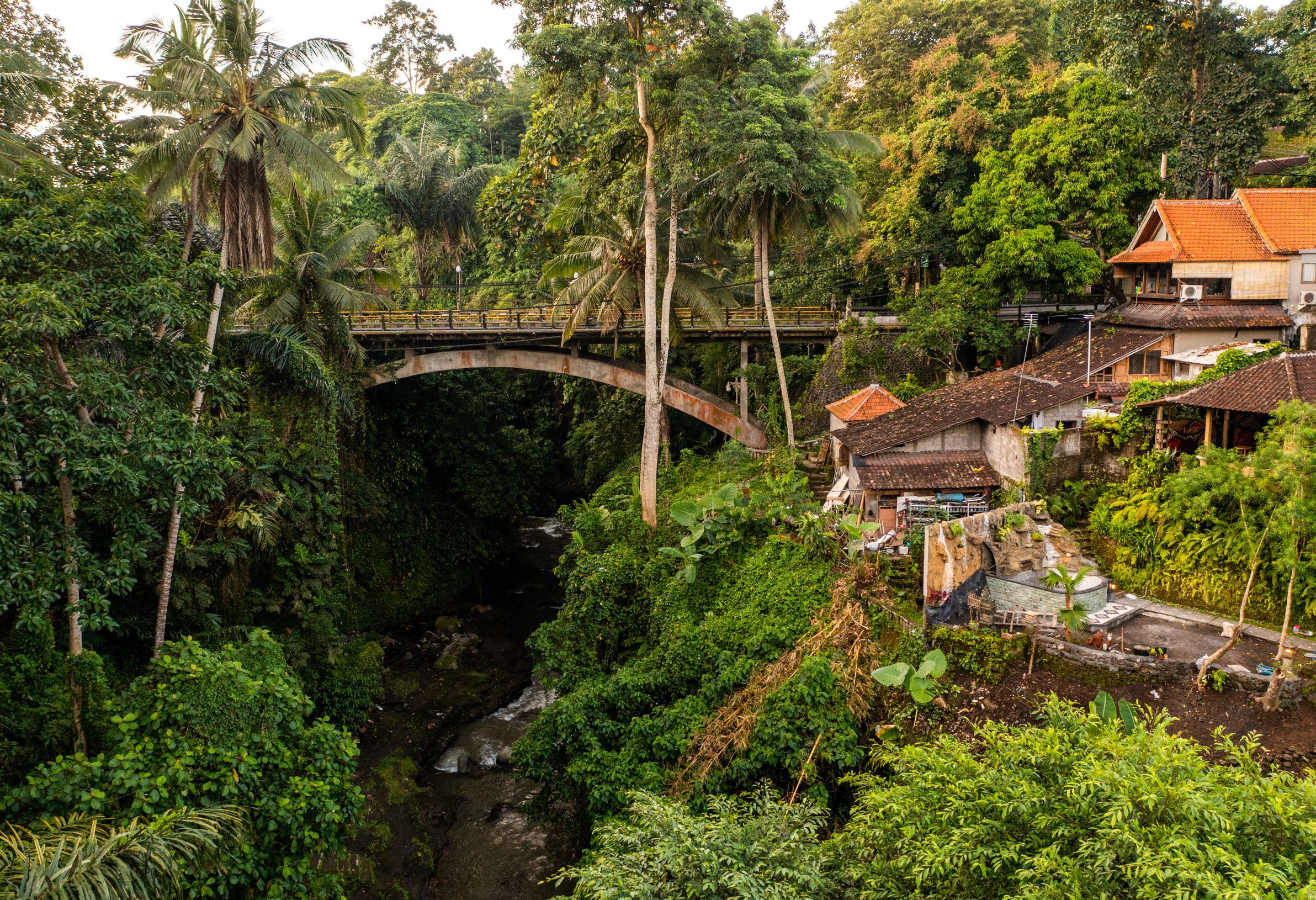 Rand van Ubud omgeven door groen op Bali
