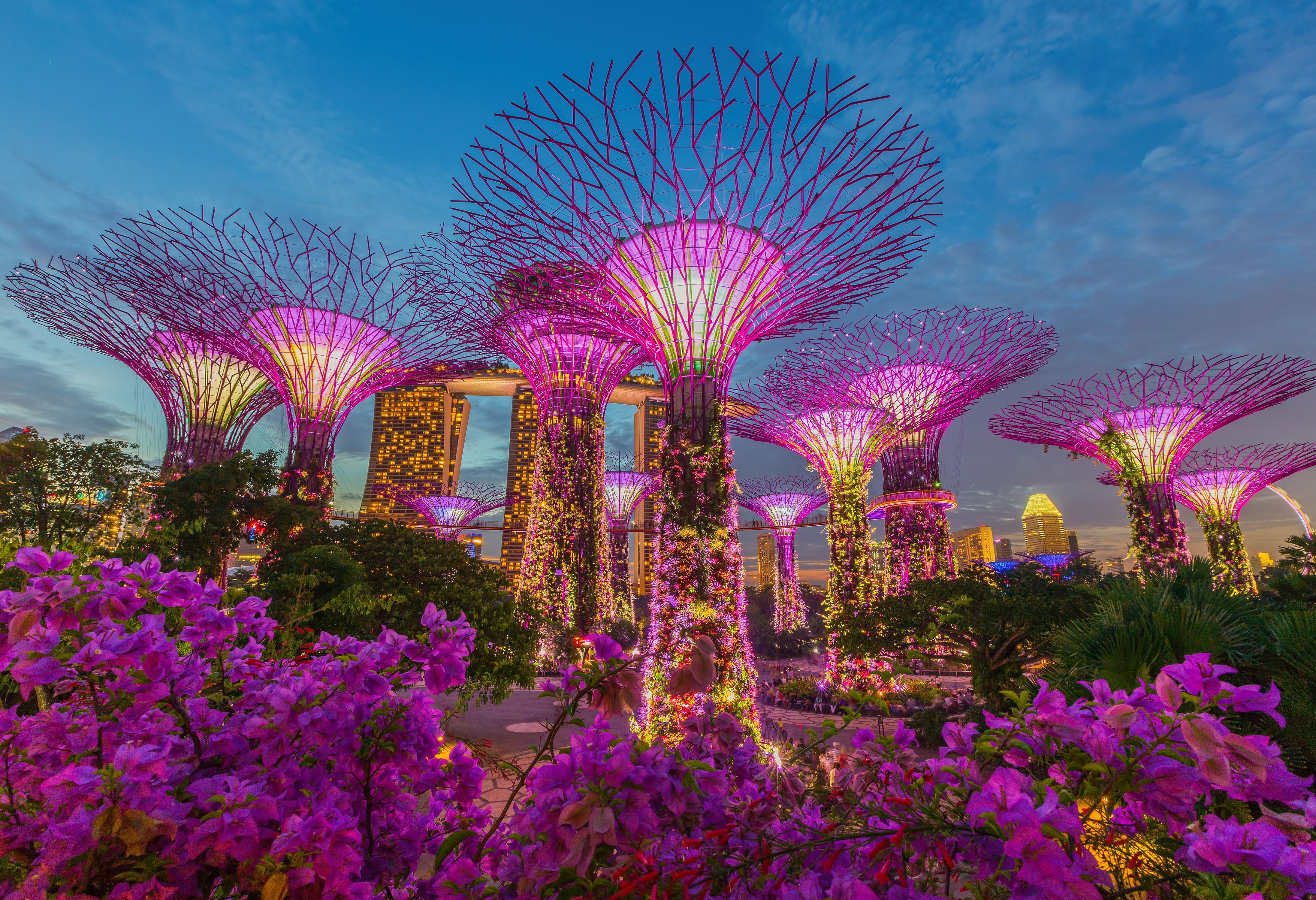 Singapore Supertree Grove