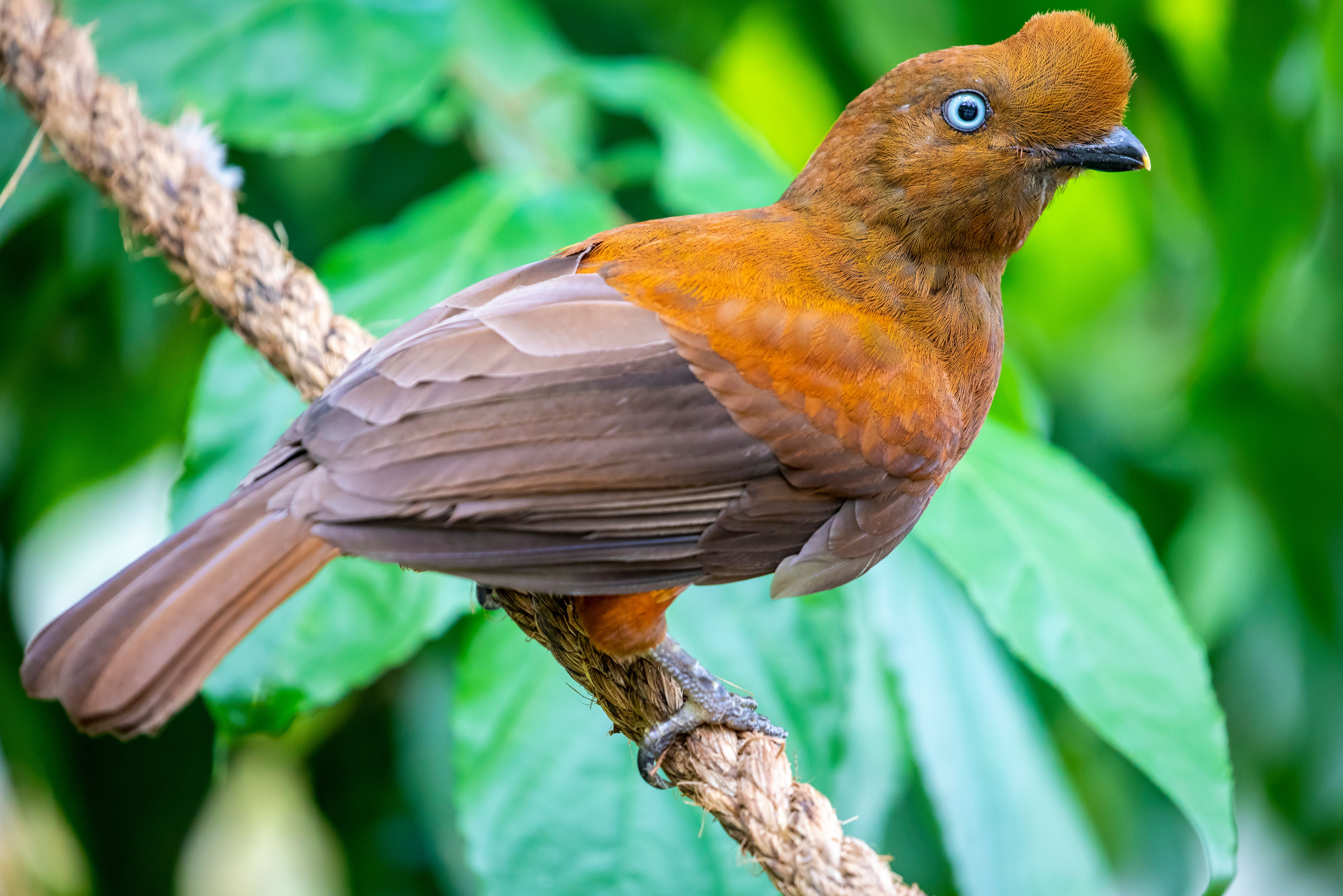 Colombia-Tayrona-National-Park