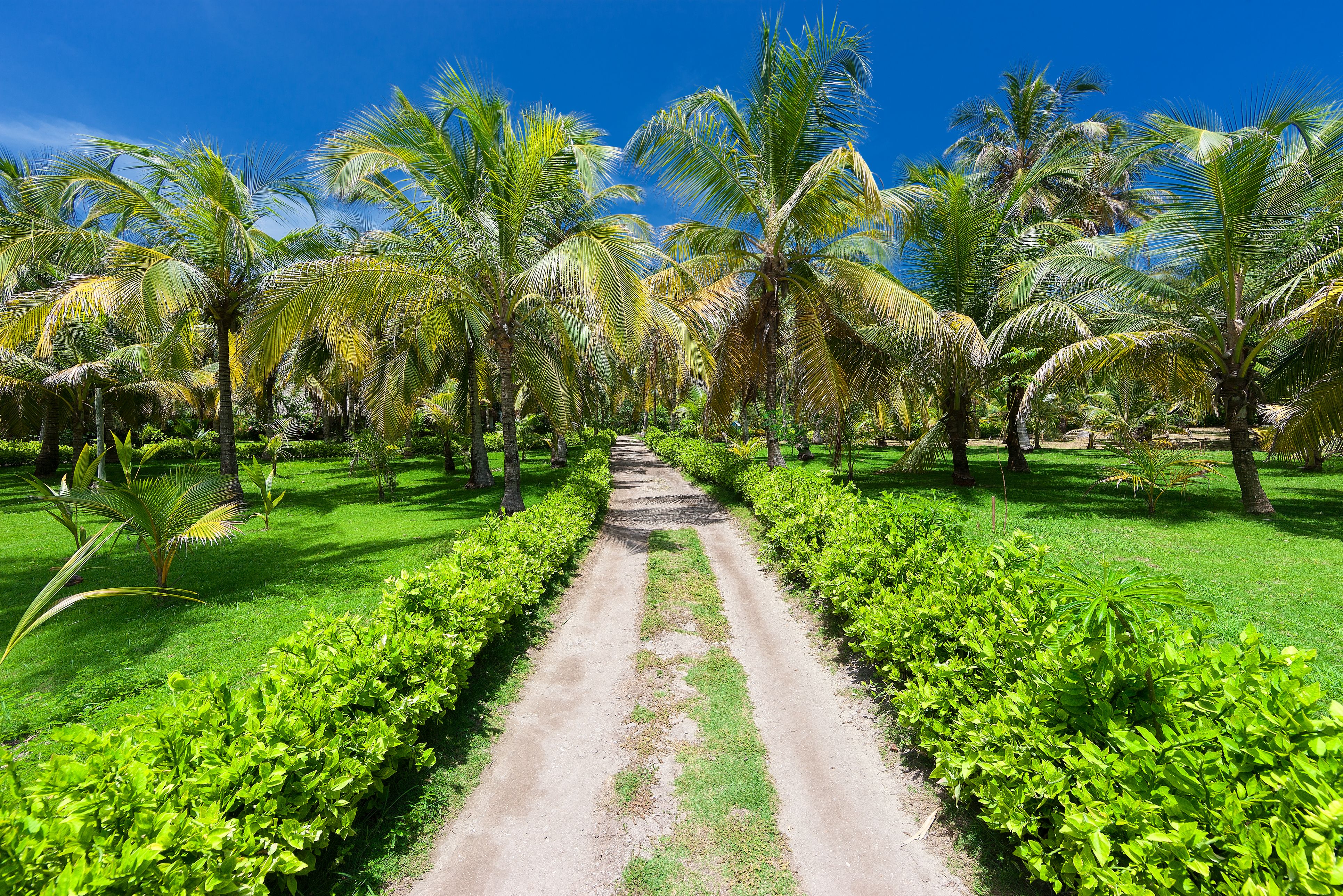 Colombia Mucura Island Punta Faro Resort Omgeving