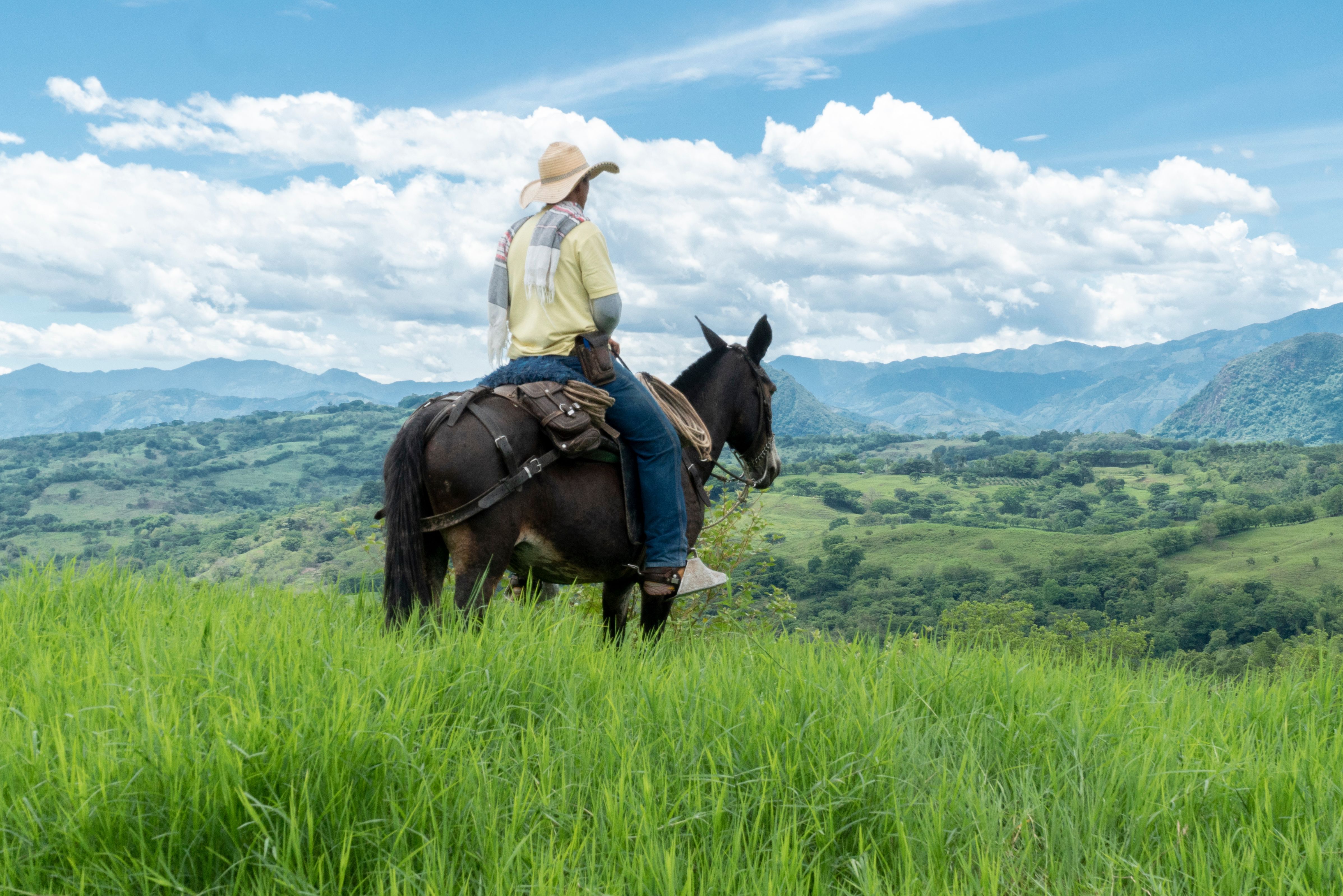 Paardrijden in Colombia