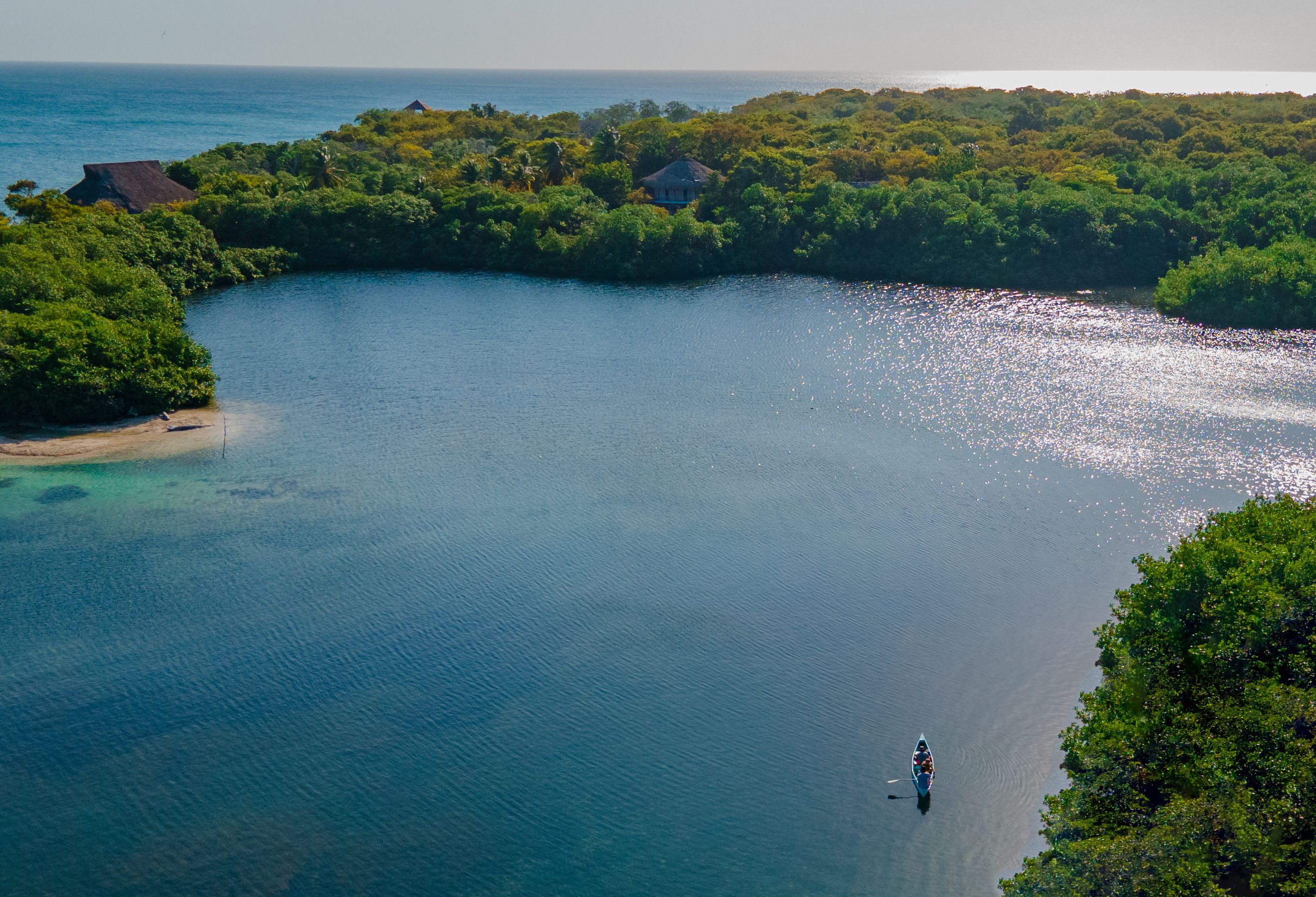 Mangrove rondom Cartagena in Colombia