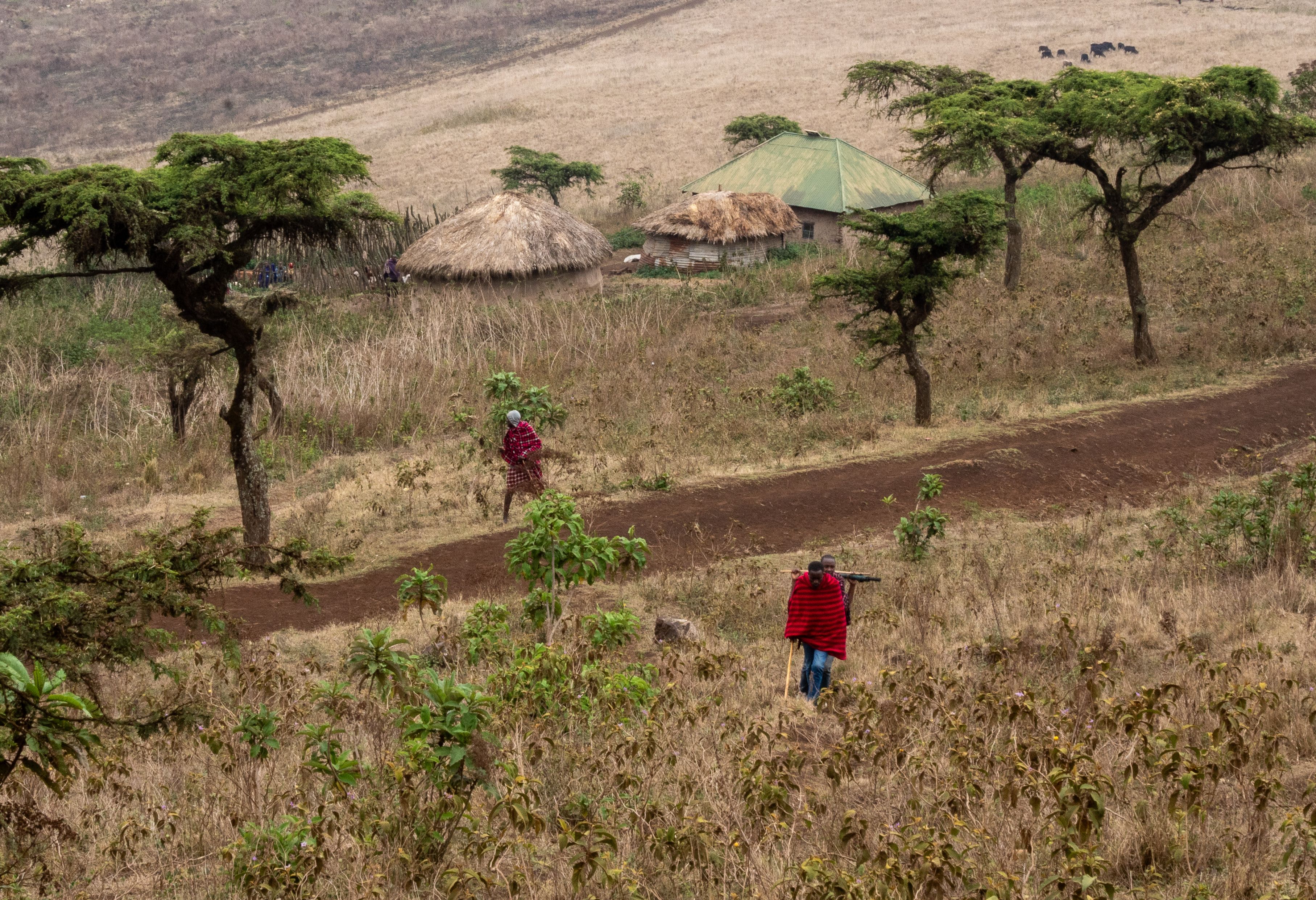 Maasai en dorpjes onderweg in Tanzania