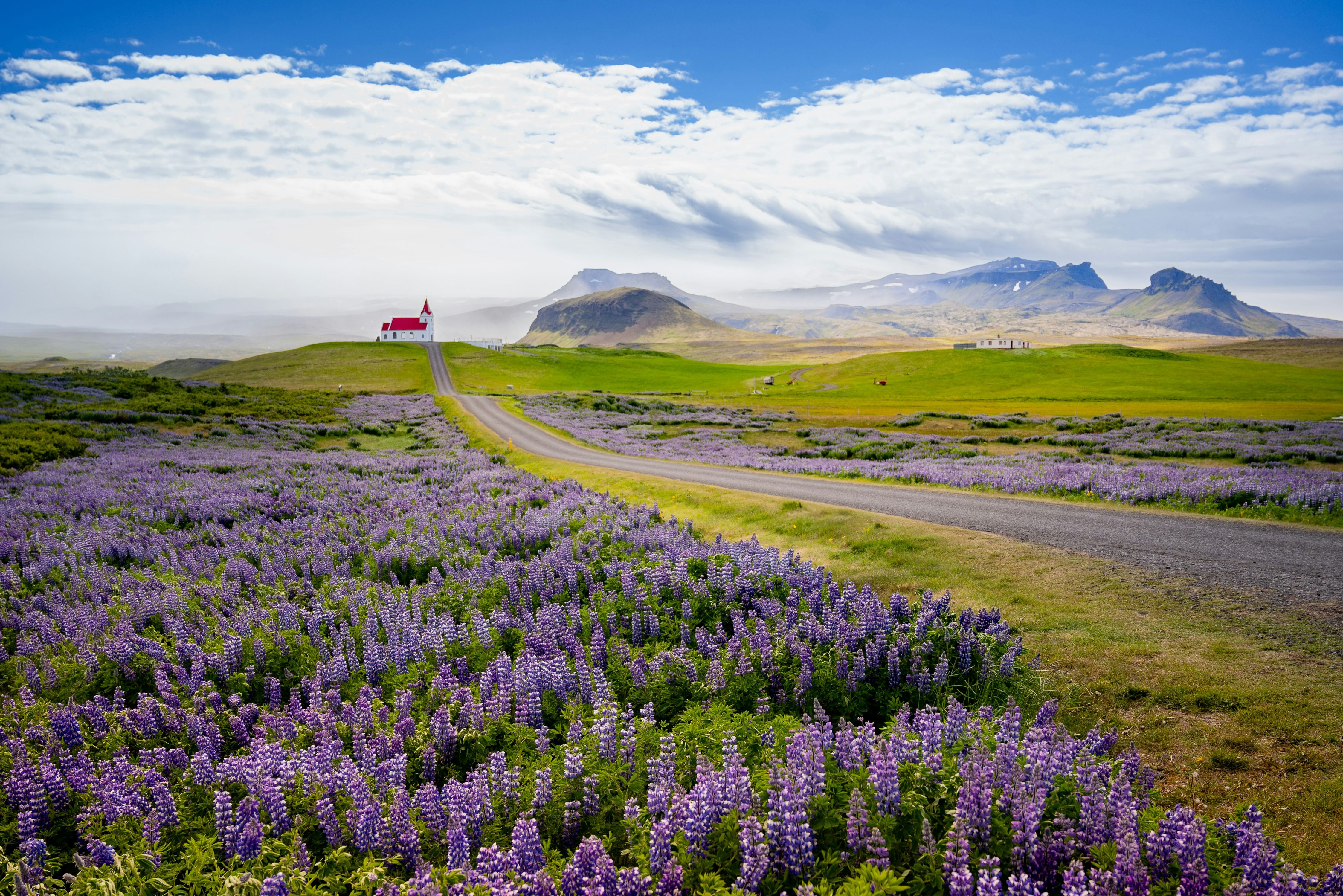 Sneafellsnes peninsula IJsland