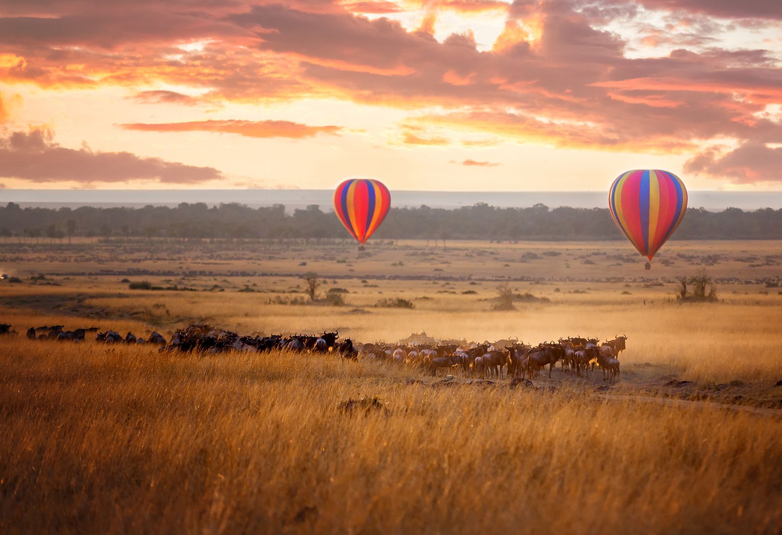 Optionele ballonvaart in de Serengeti in Tanzania