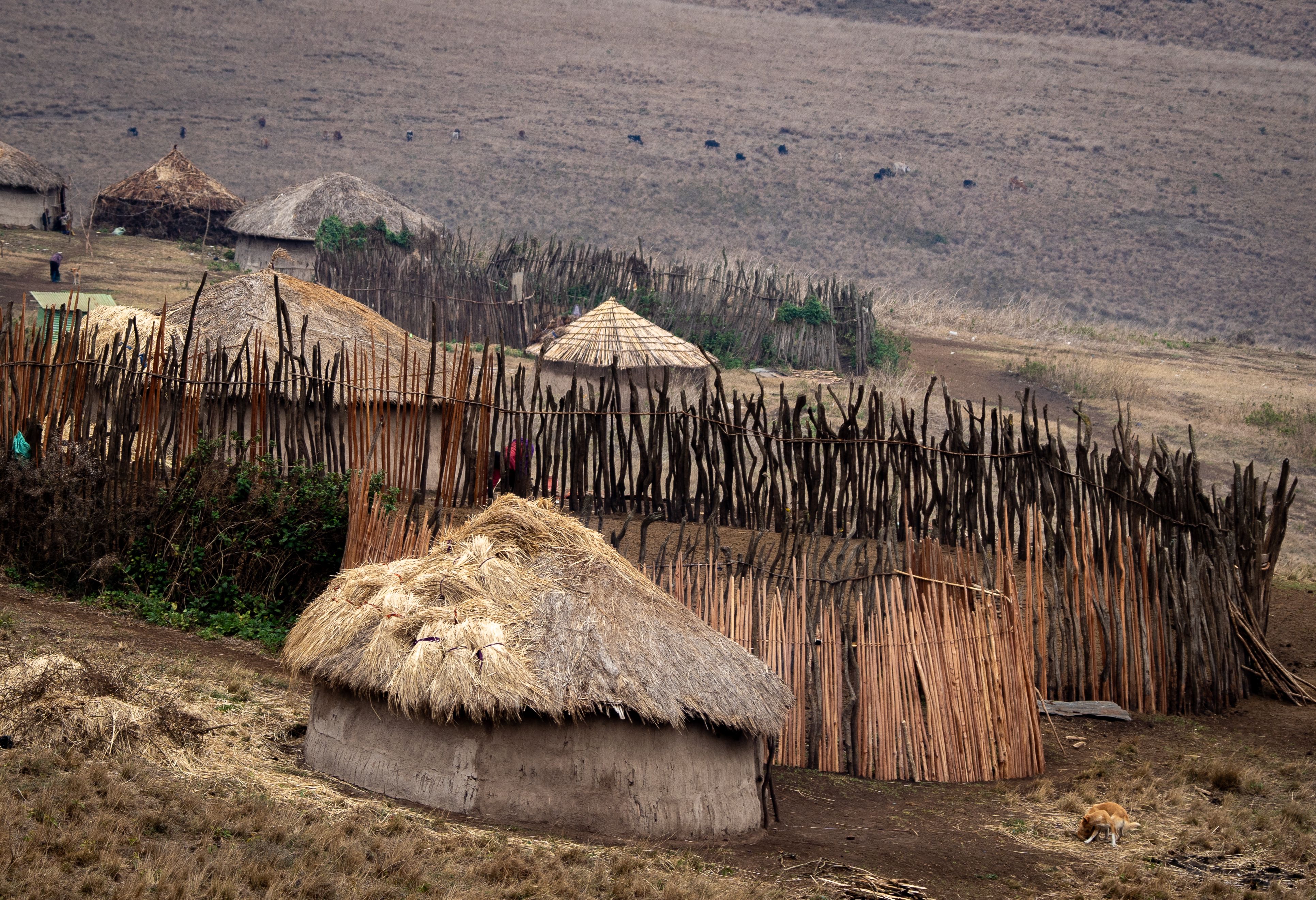 Maasai dorp in Tanzania