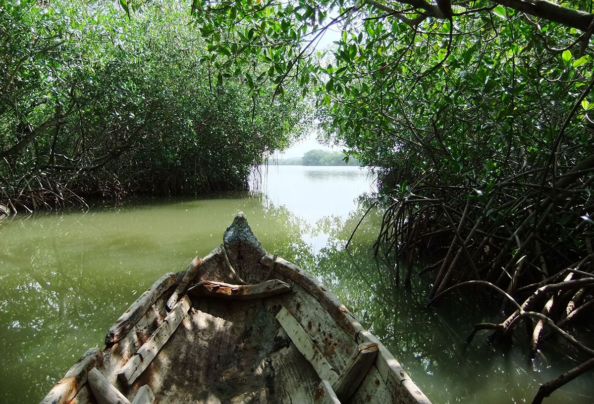 Colombia Tayrona National Park Kano en lokale vissers