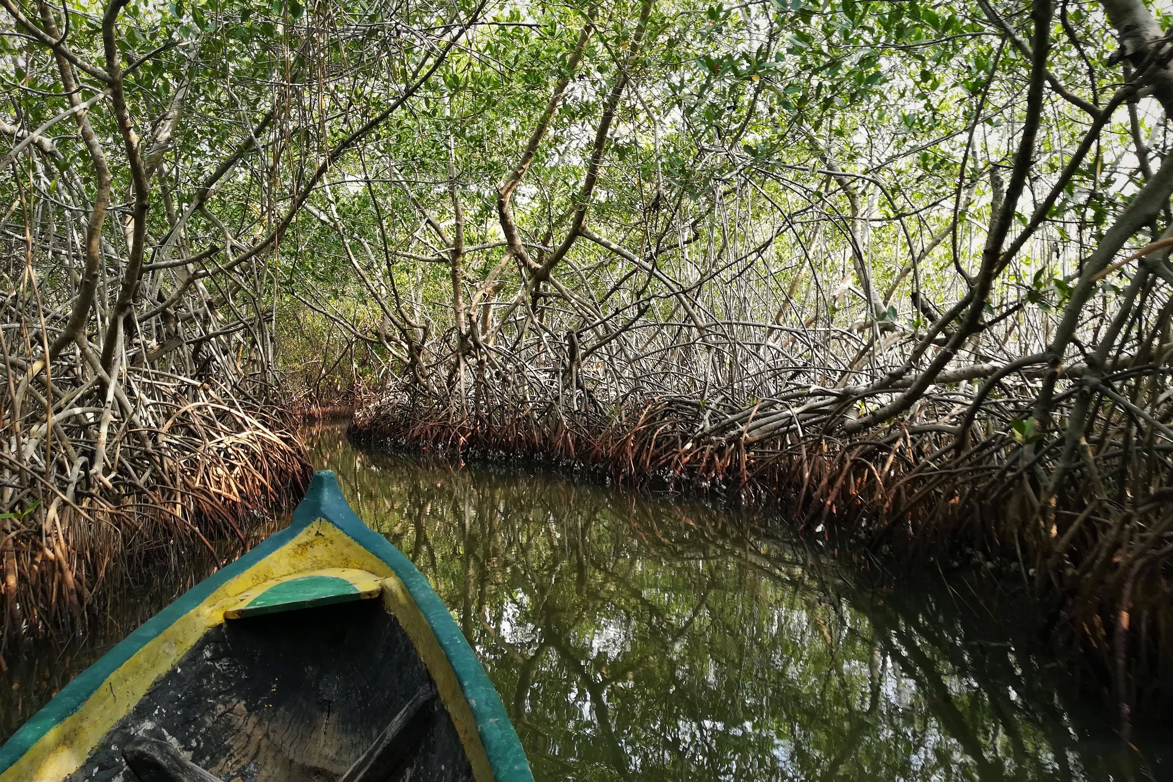 Colombia Tayrona National Park Kano en lokale vissers