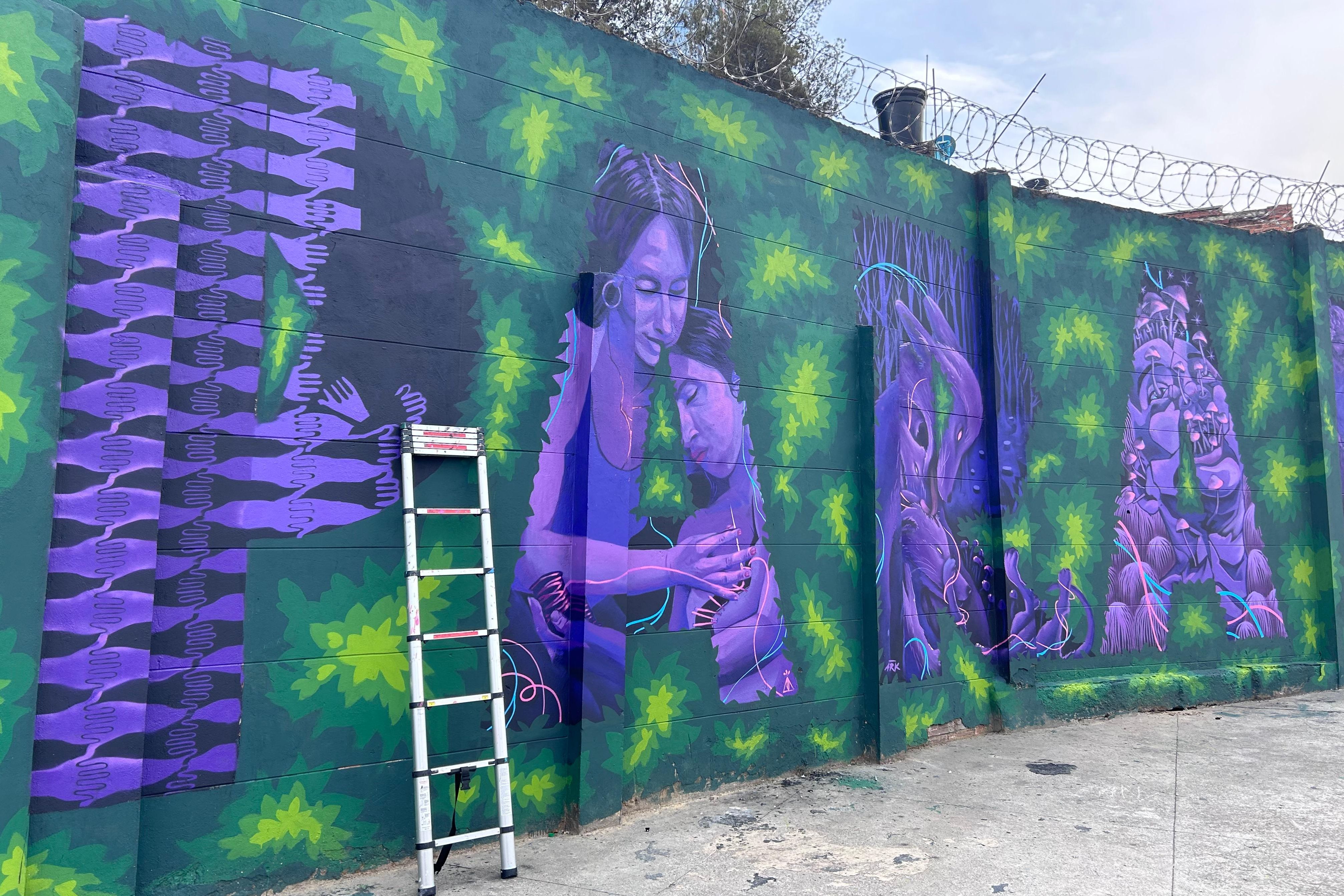 Co;ombia Bogota Graffiti Tour