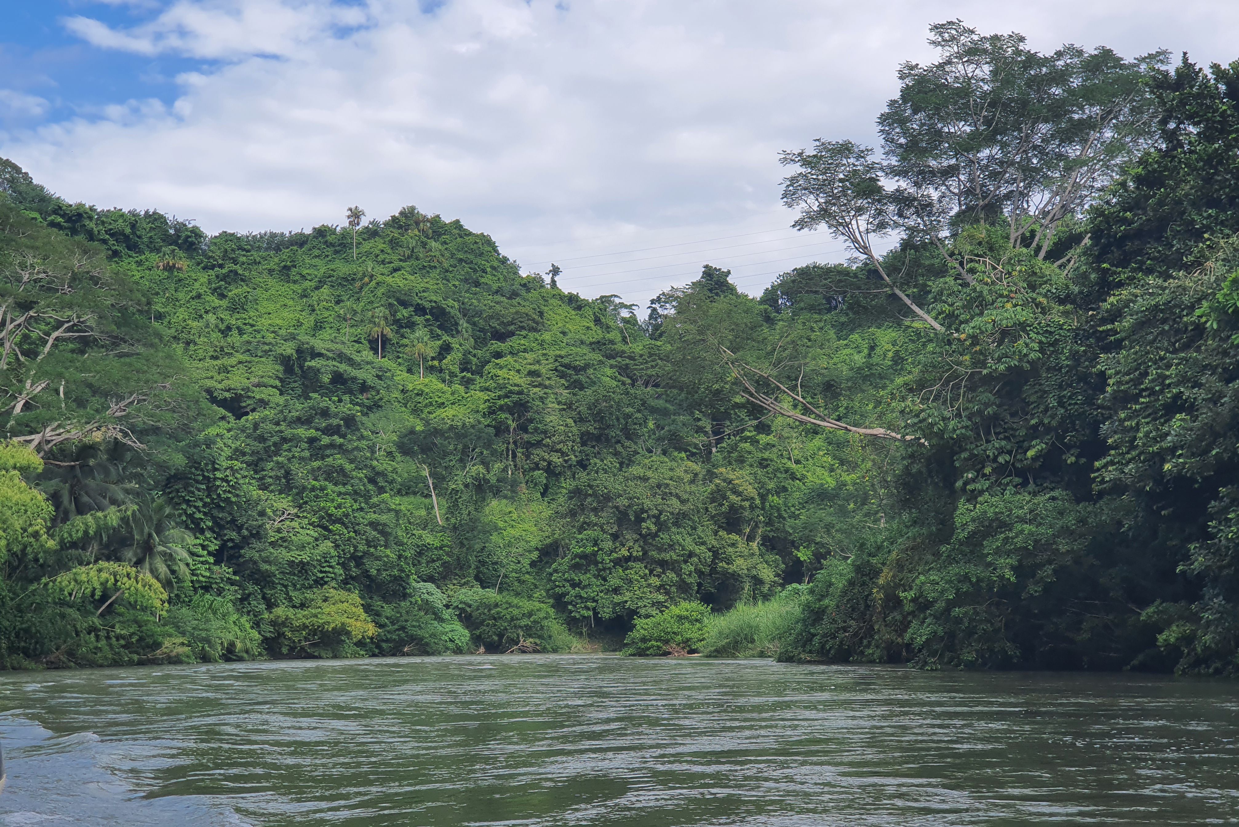 Colombia Tayrona National Park Tiaronaka en Rio Diego