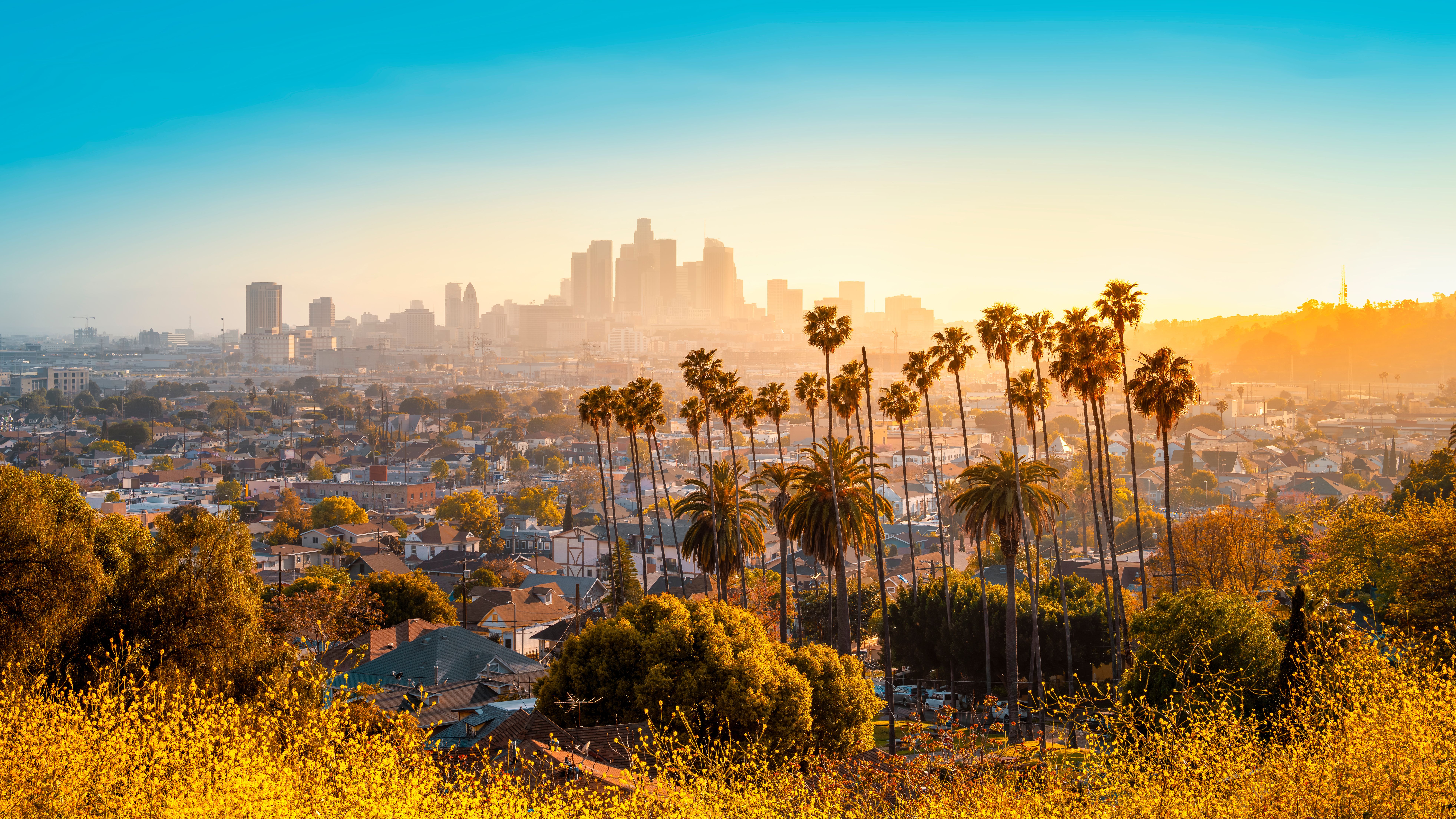 Los Angeles - Skyline
