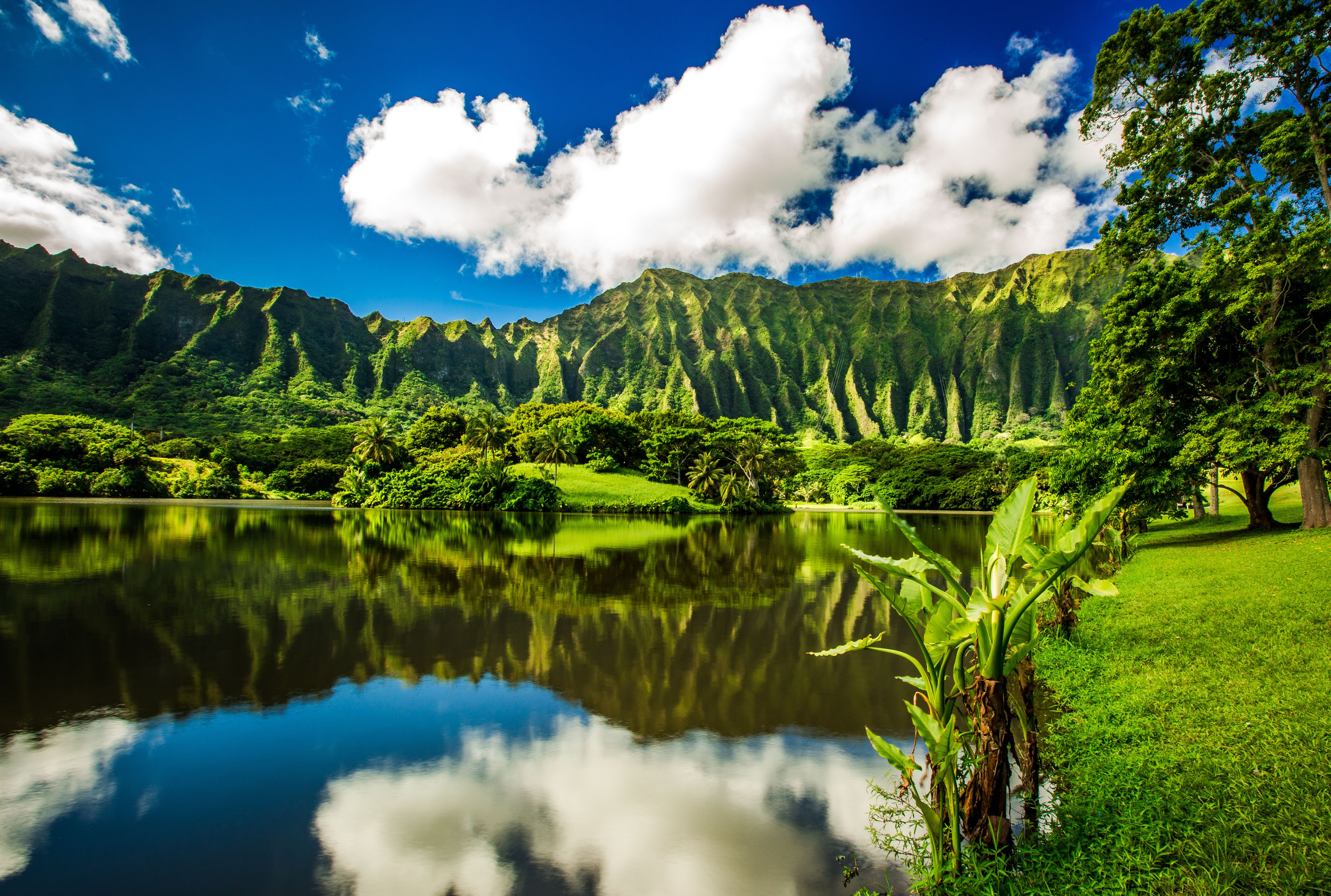 Oahu - Botanical Garden
