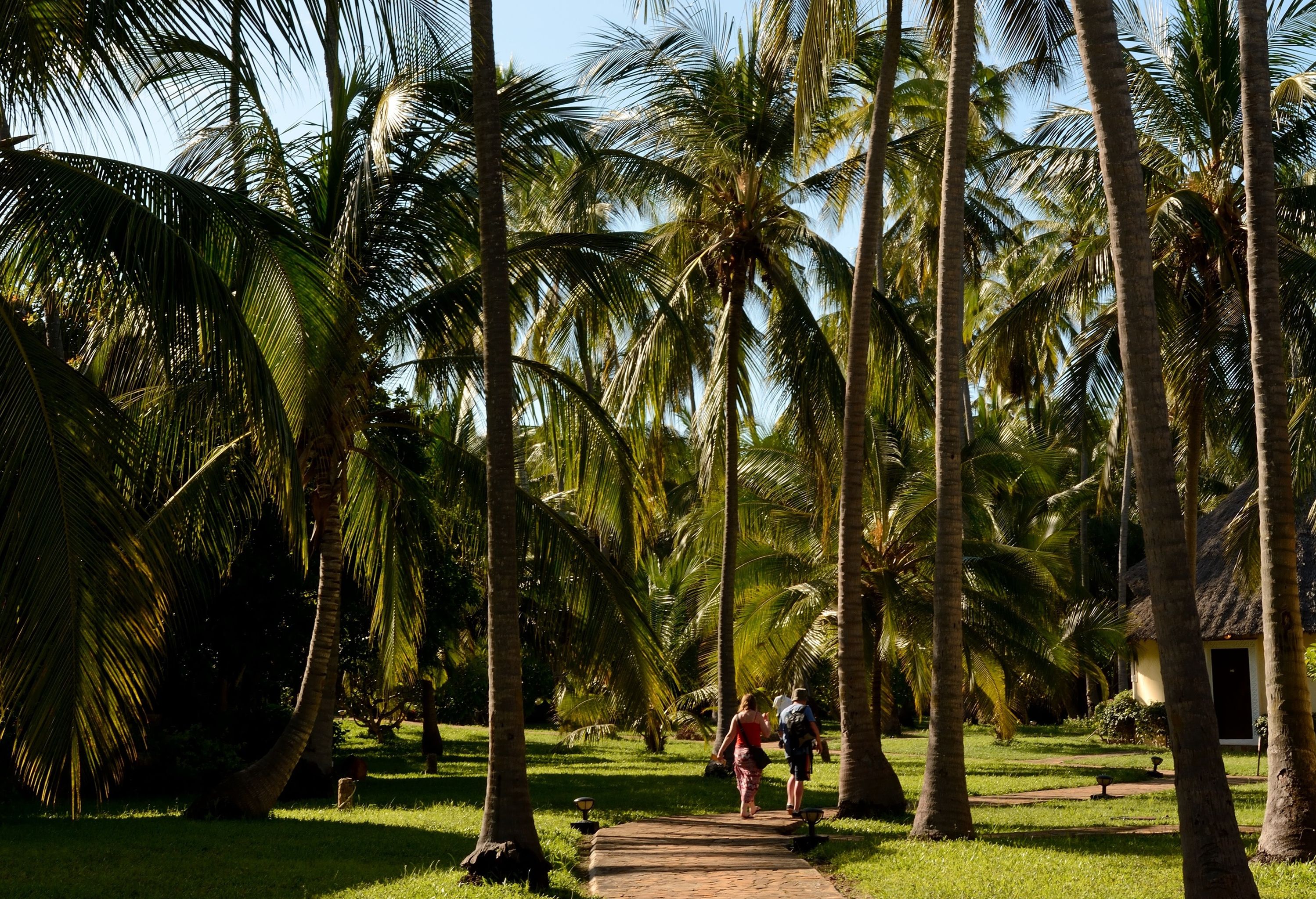 Tuin van het Ocean Paradise Resort op Zanzibar