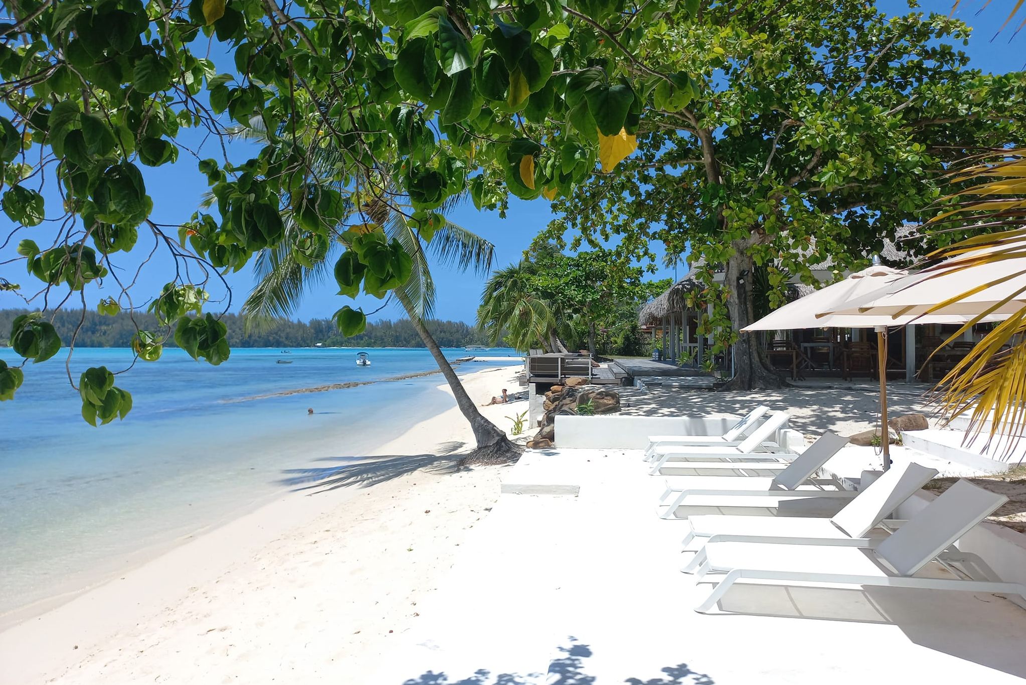 Ligbedjes van het Moorea Island Beach in Frans-Polynesie