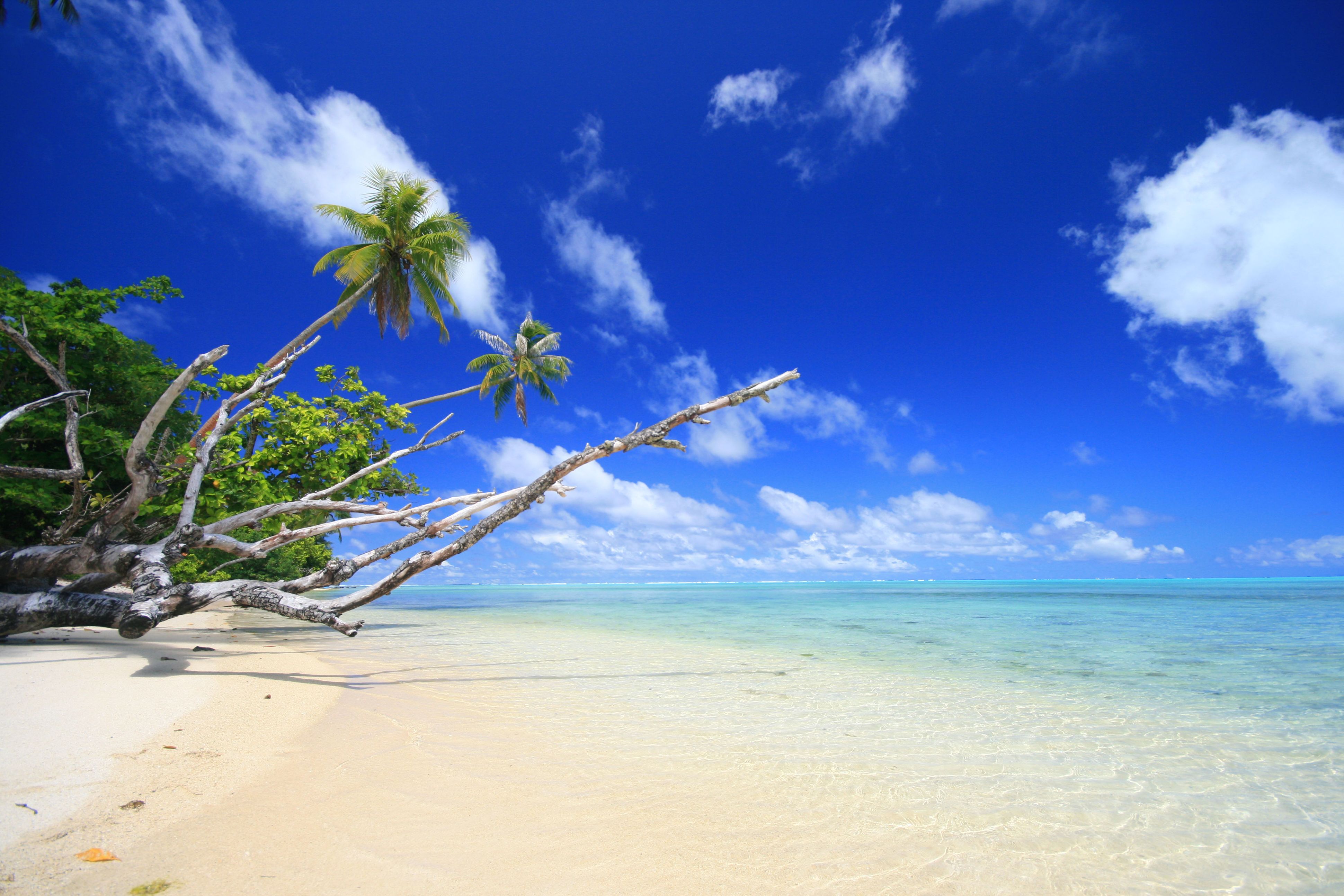 Strand bij Hotel Le Mahana op Huahine in Frans-Polynesie
