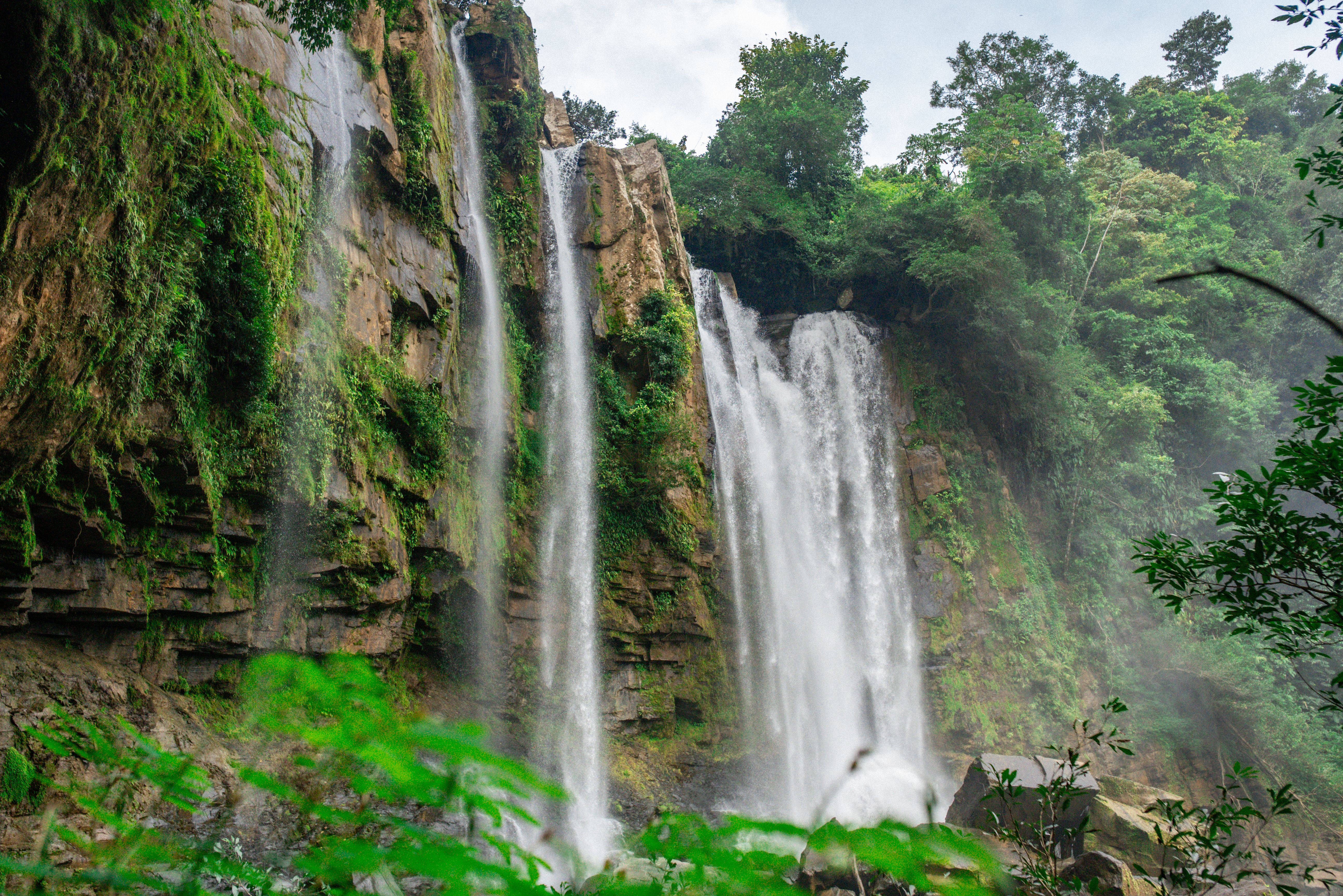 Nauyaca Waterval Manuel Antonio
