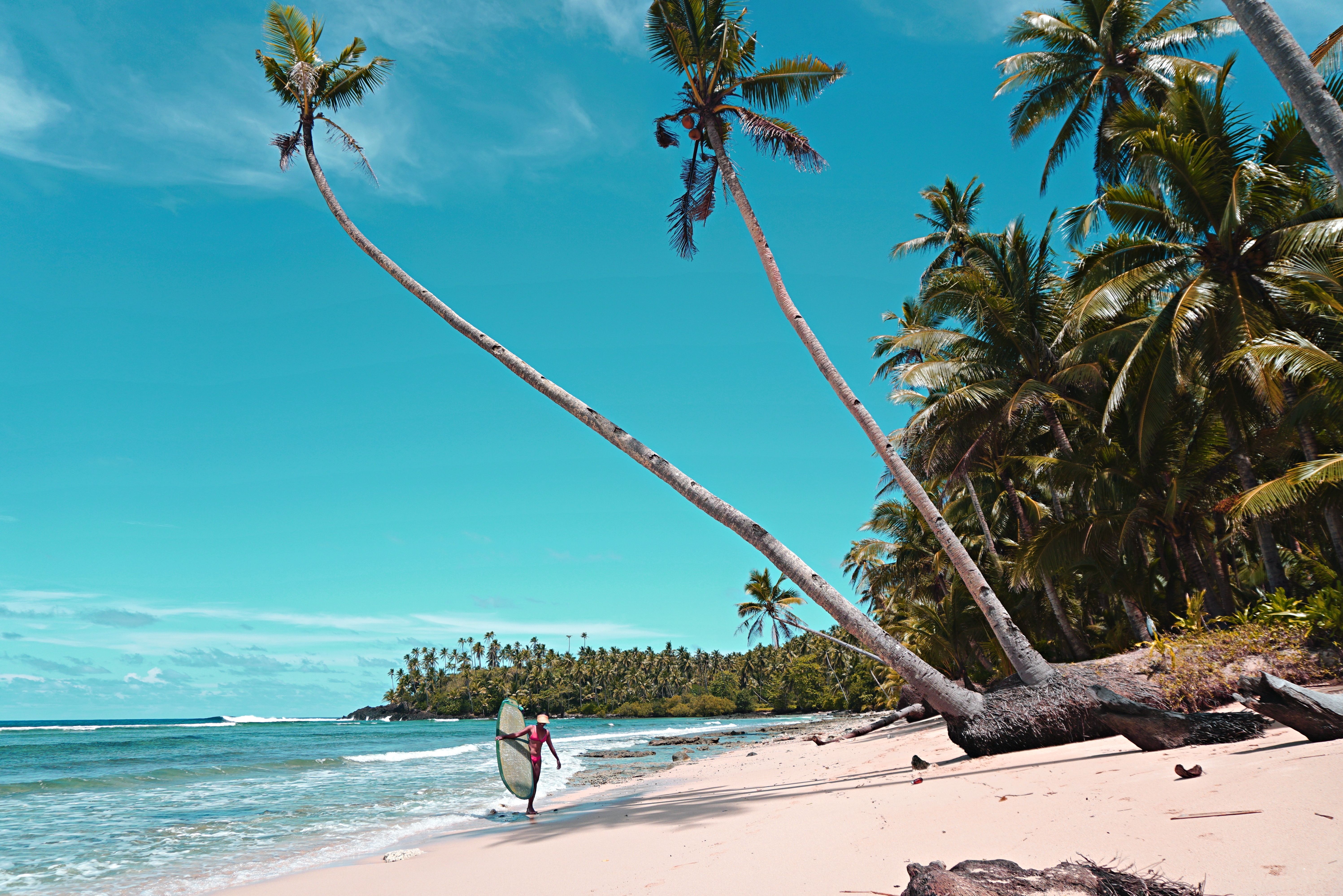 Palmenstrand op Siargao
