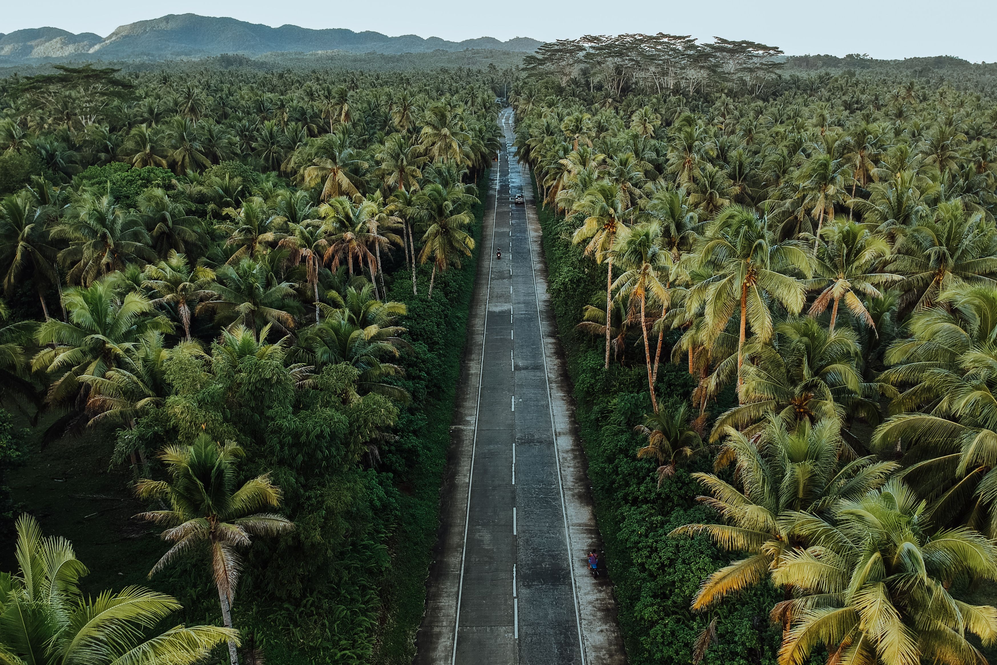 Coconut Road op Siargao