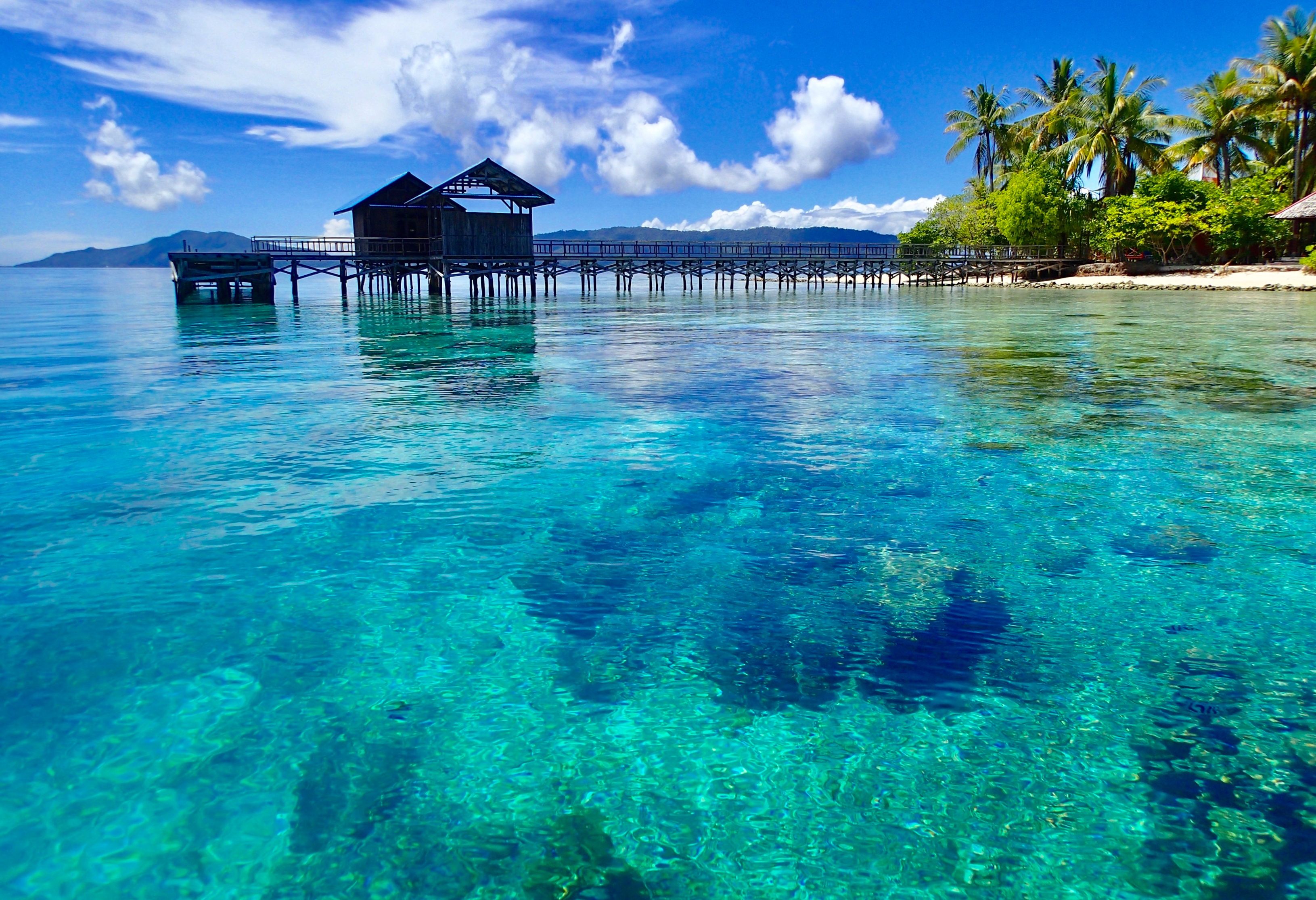 Jetty bij Arborek Island in Raja Ampat in Indonesie