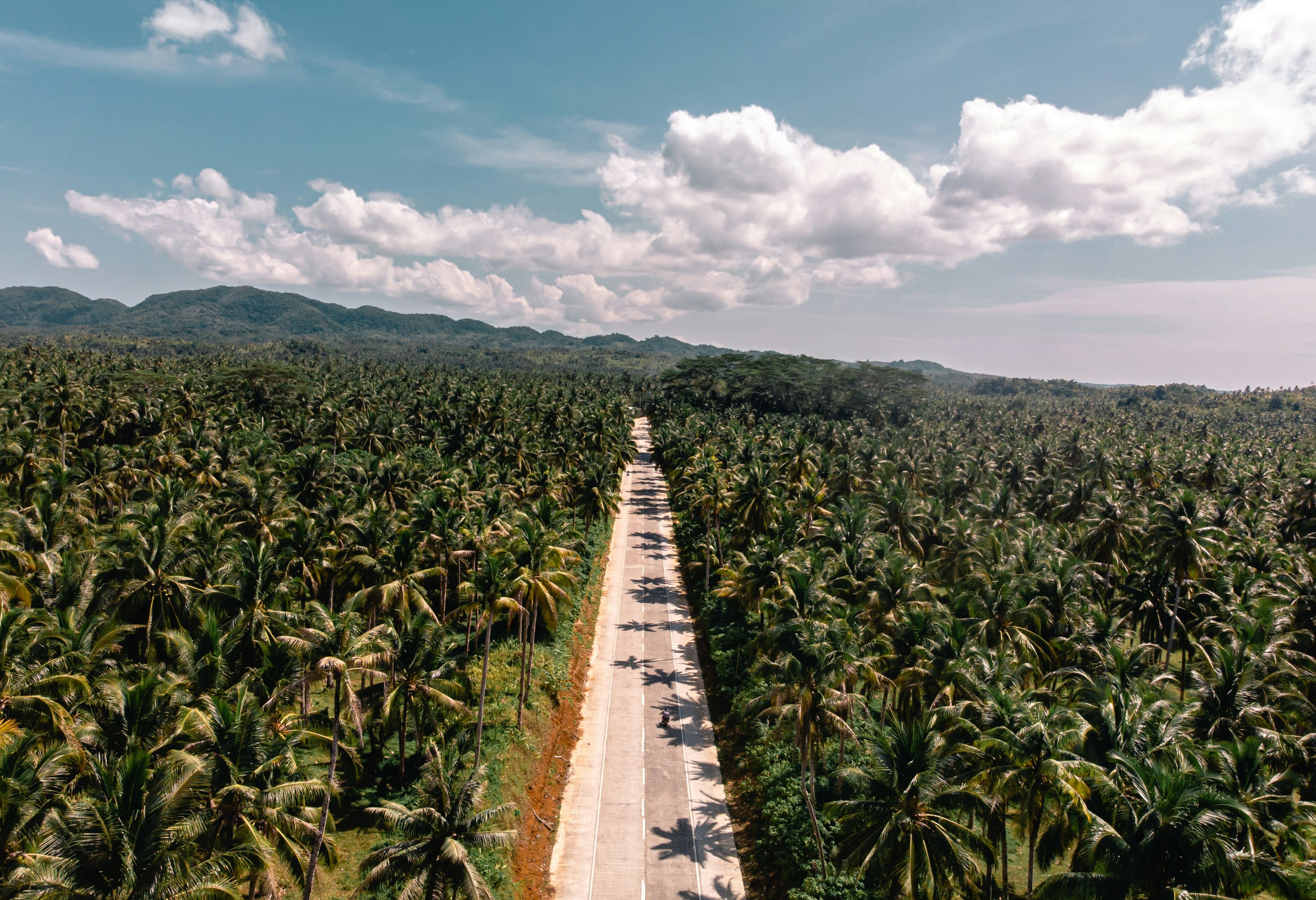 Coconut Road Siargao