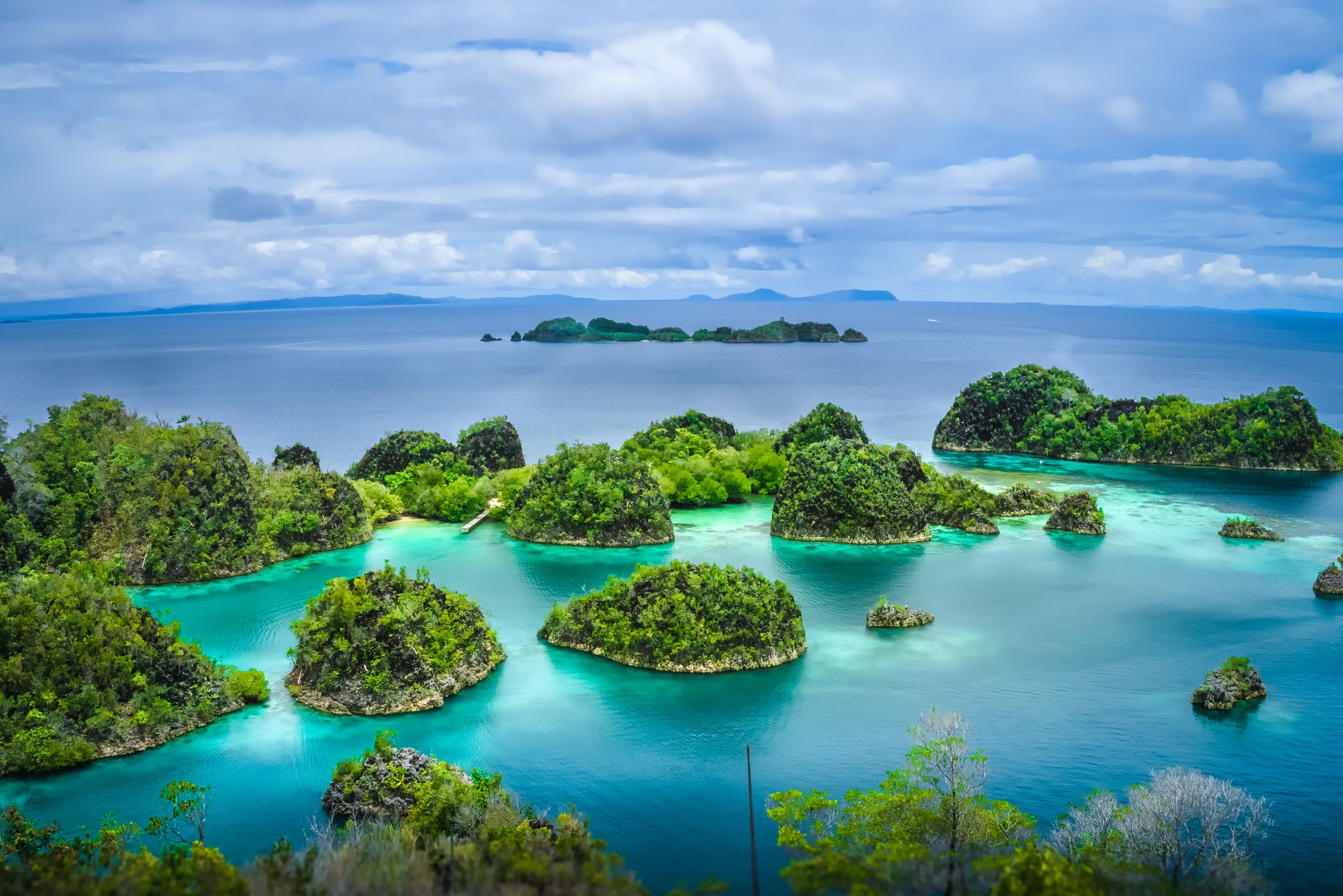Eilandjes in de azuurblauwe zee in Raja Ampat in Indonesie