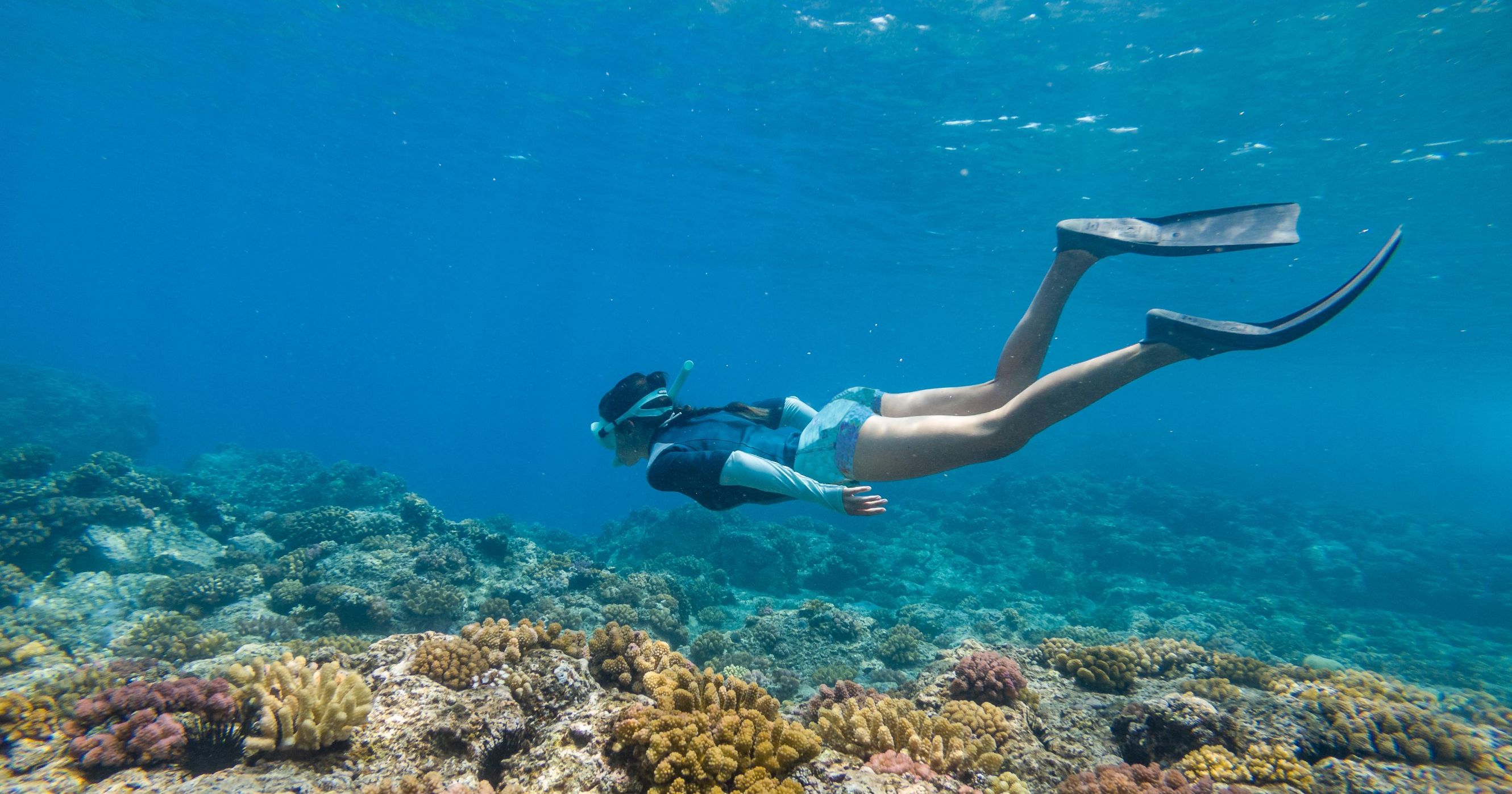 Snorkelen bij Trincomalee