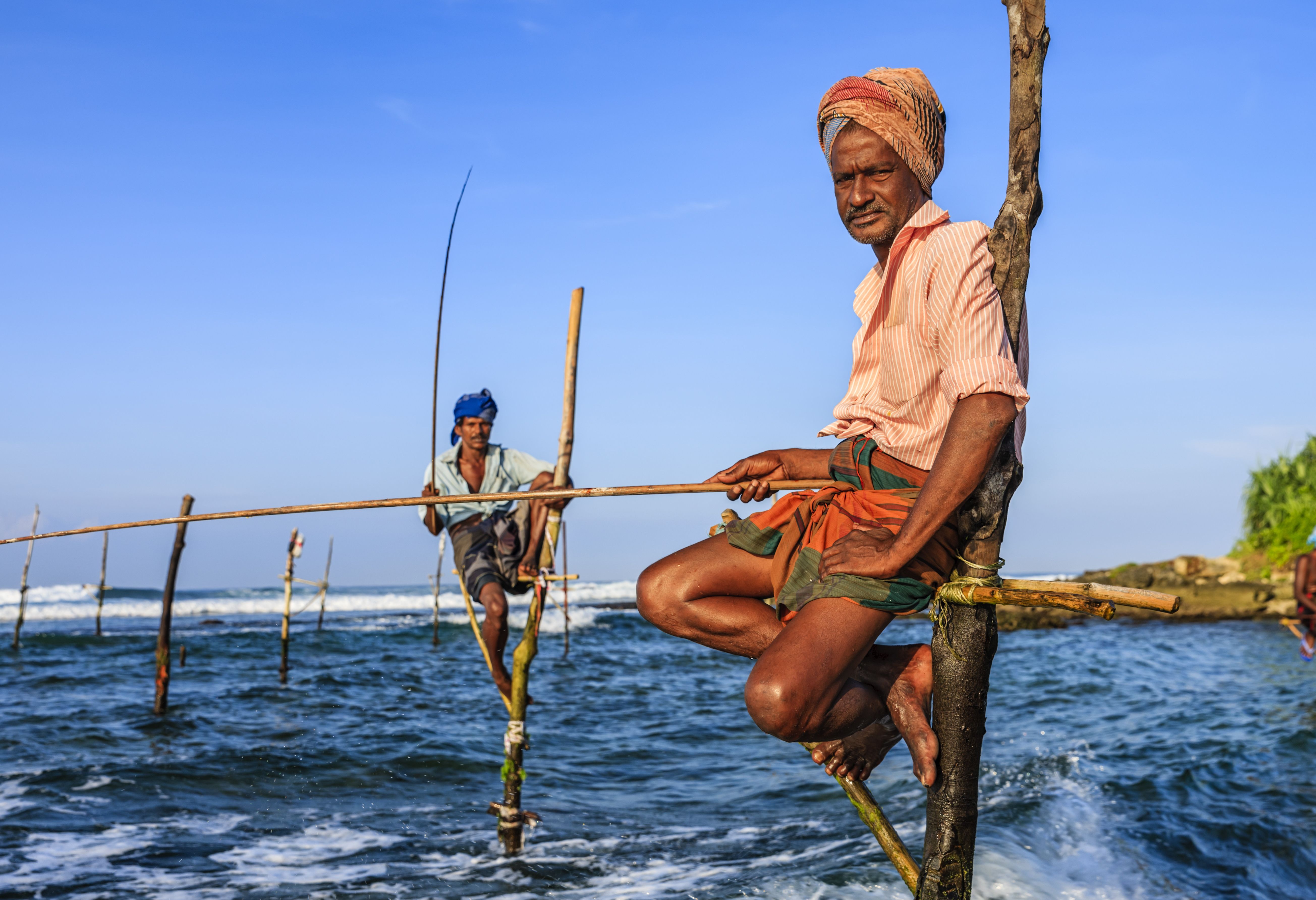Paalvissers in Sri Lanka