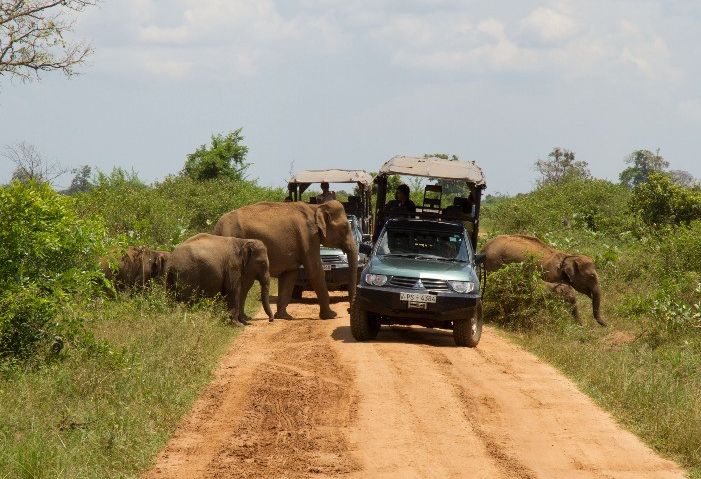 Safari in Yala in Sri Lanka