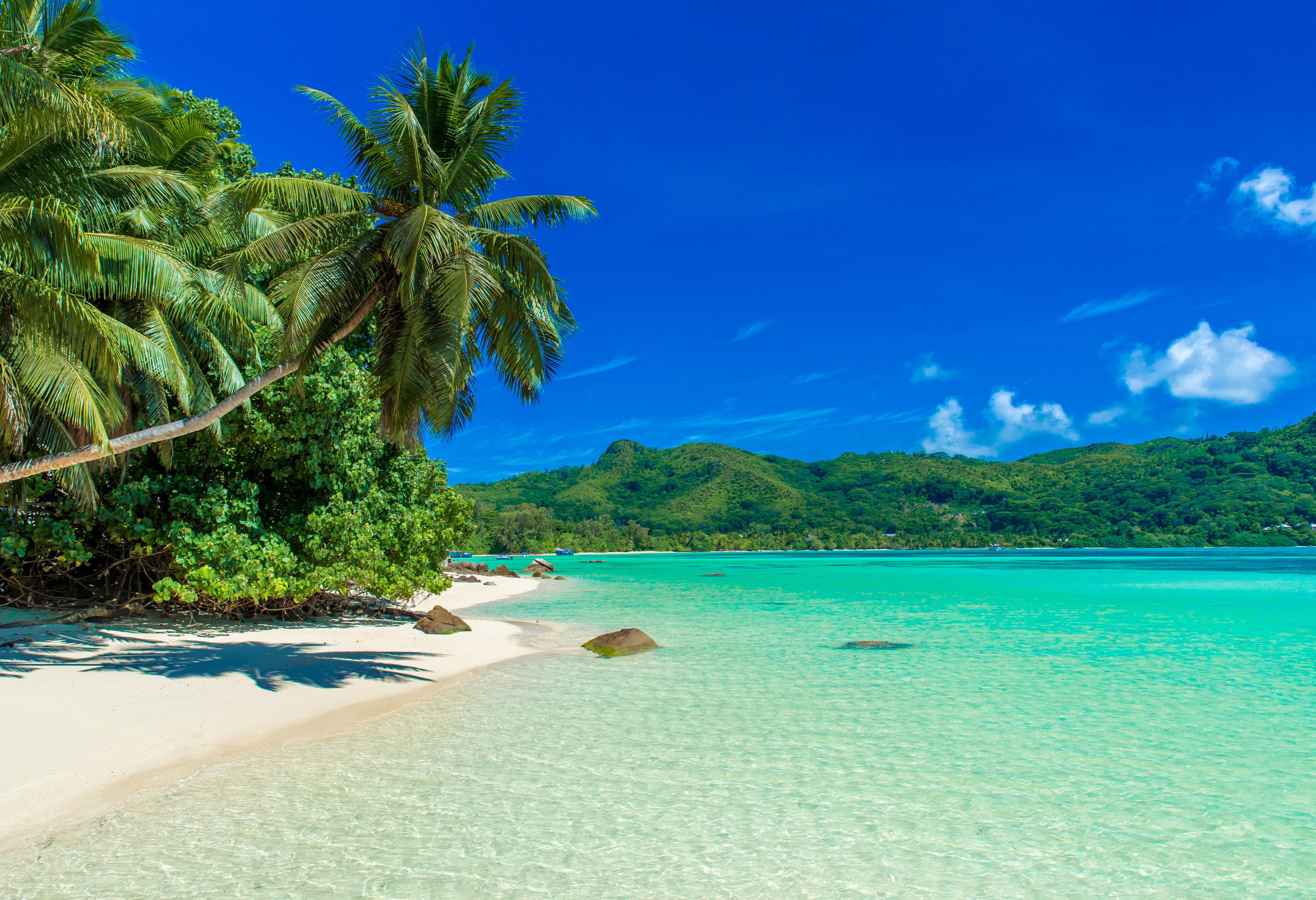 Anse La Mouche op Mahe