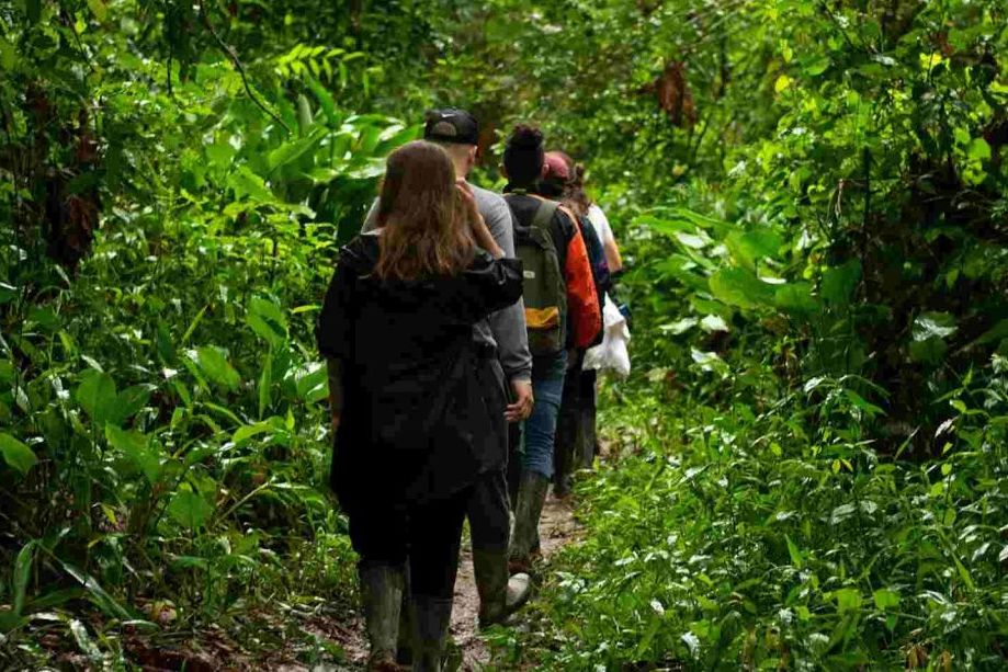 Peru Amazone Andean Wings Sotupa Lodge Wandeling