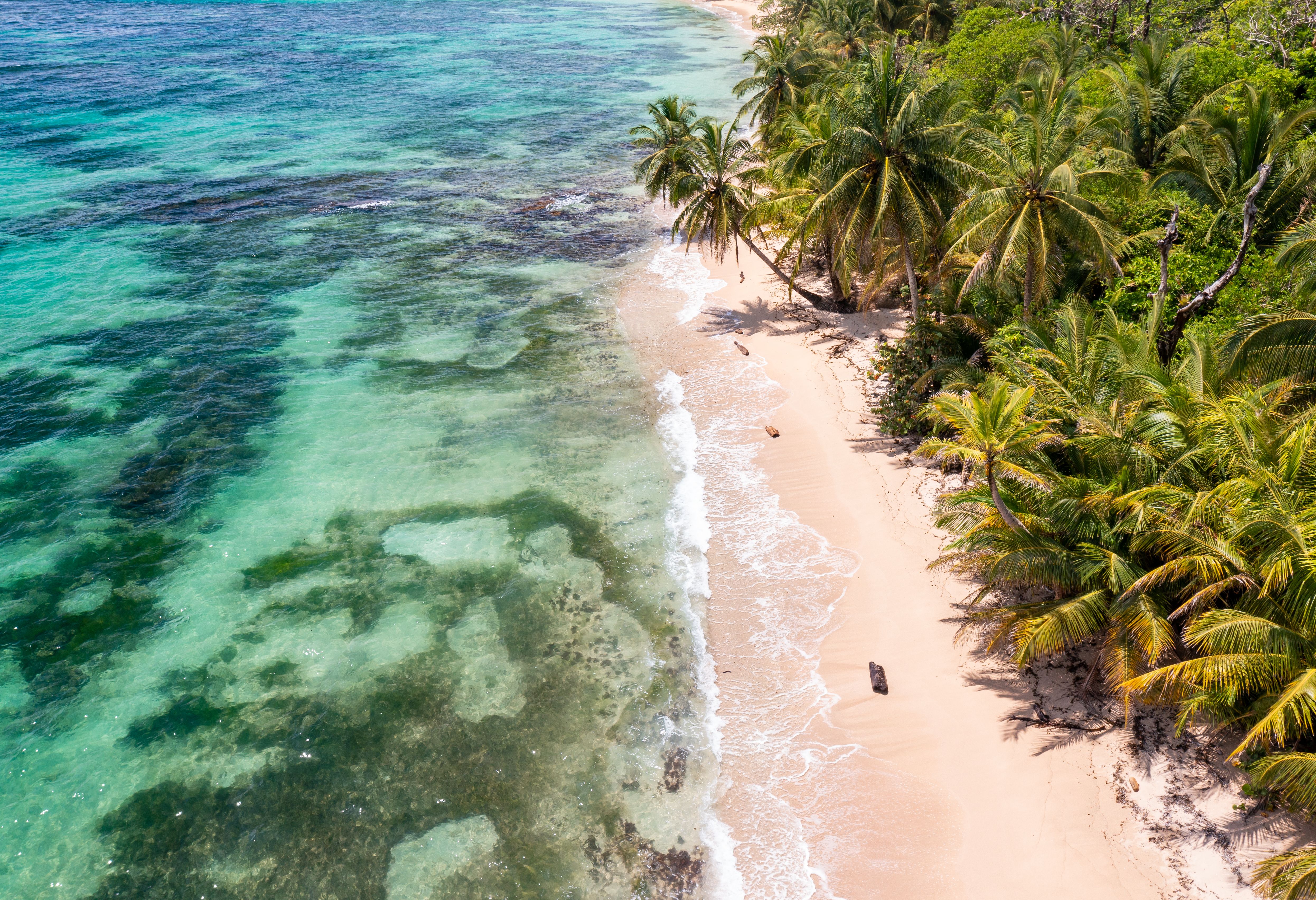 Panama Bocas del Toro Tropisch Strand
