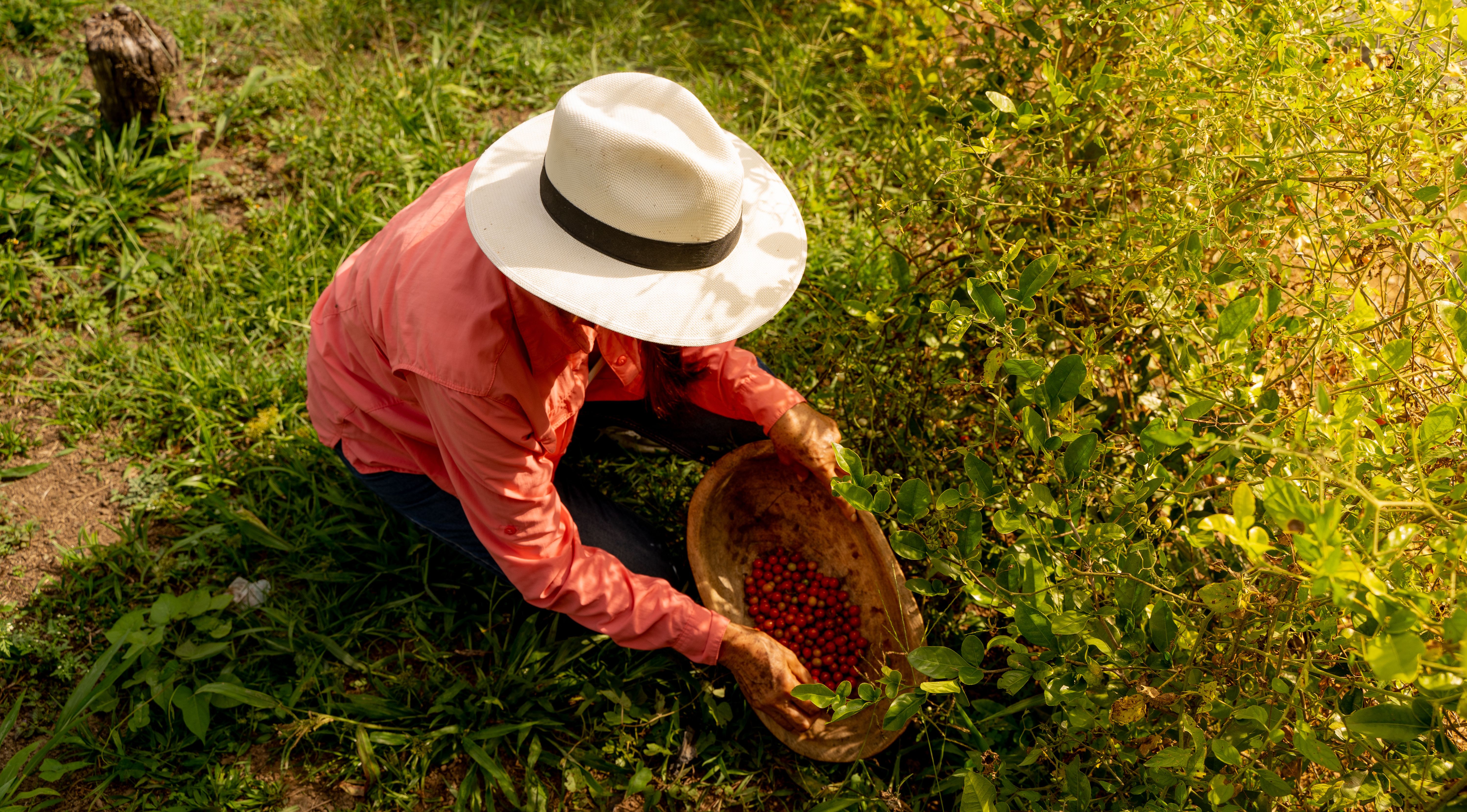 Colombia-Koffieregio-Koffieboer