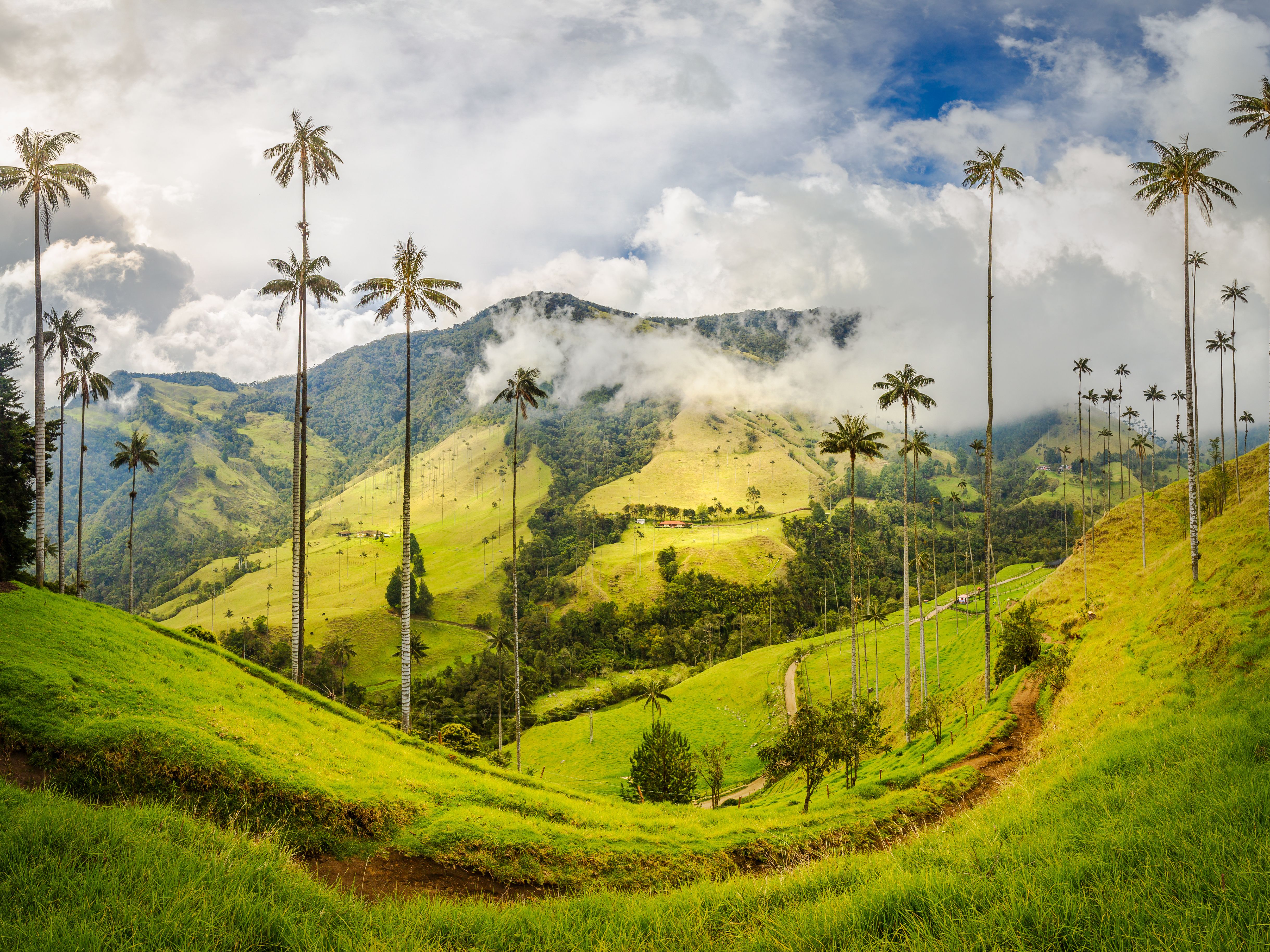 Wat te doen in Colombia