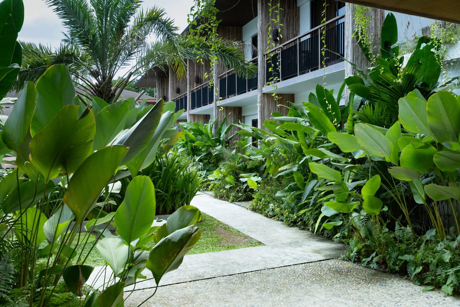Filipijnen El Nido Isla Amara Resort Tuin