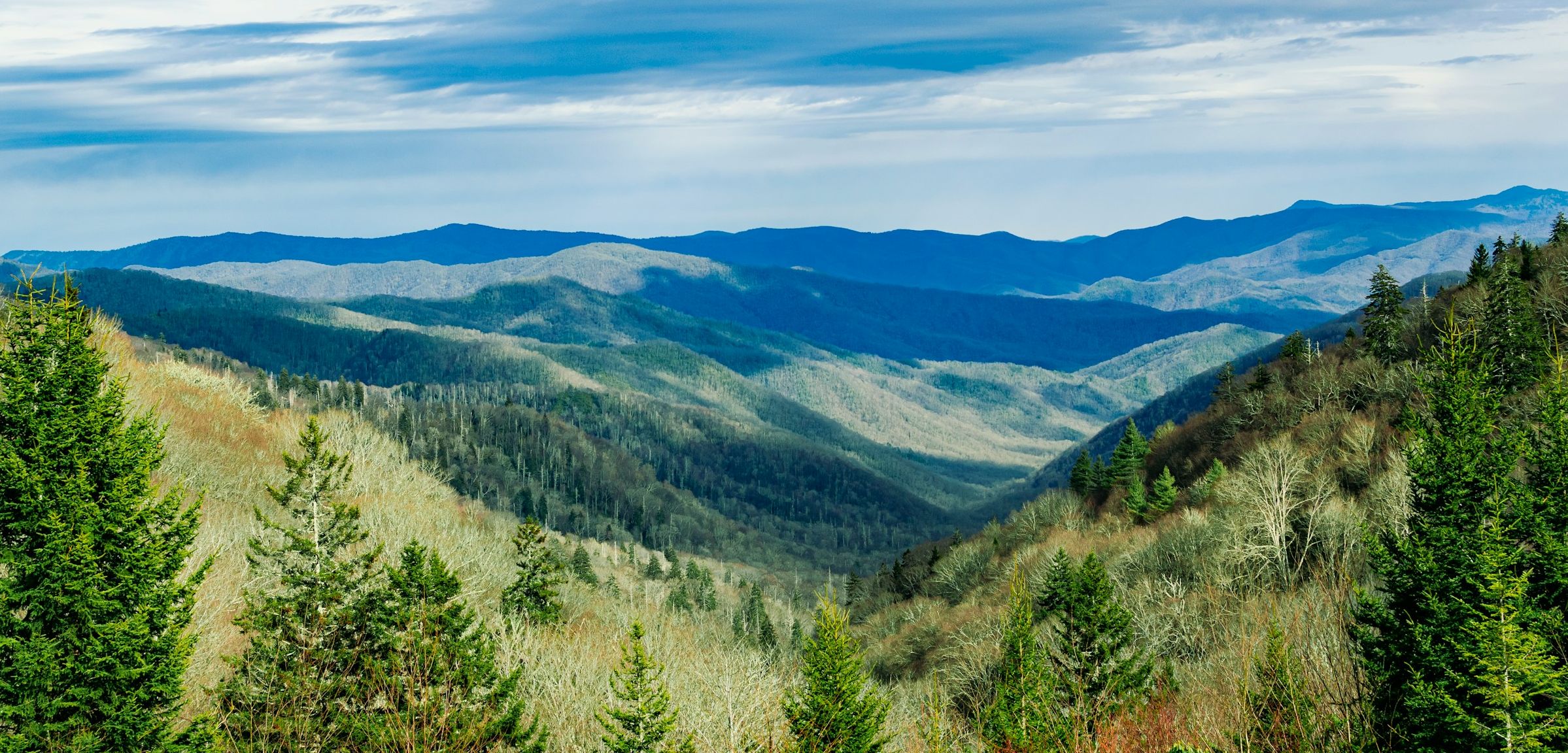 Amerika-Tennessee-Appalachian-trail-bergen