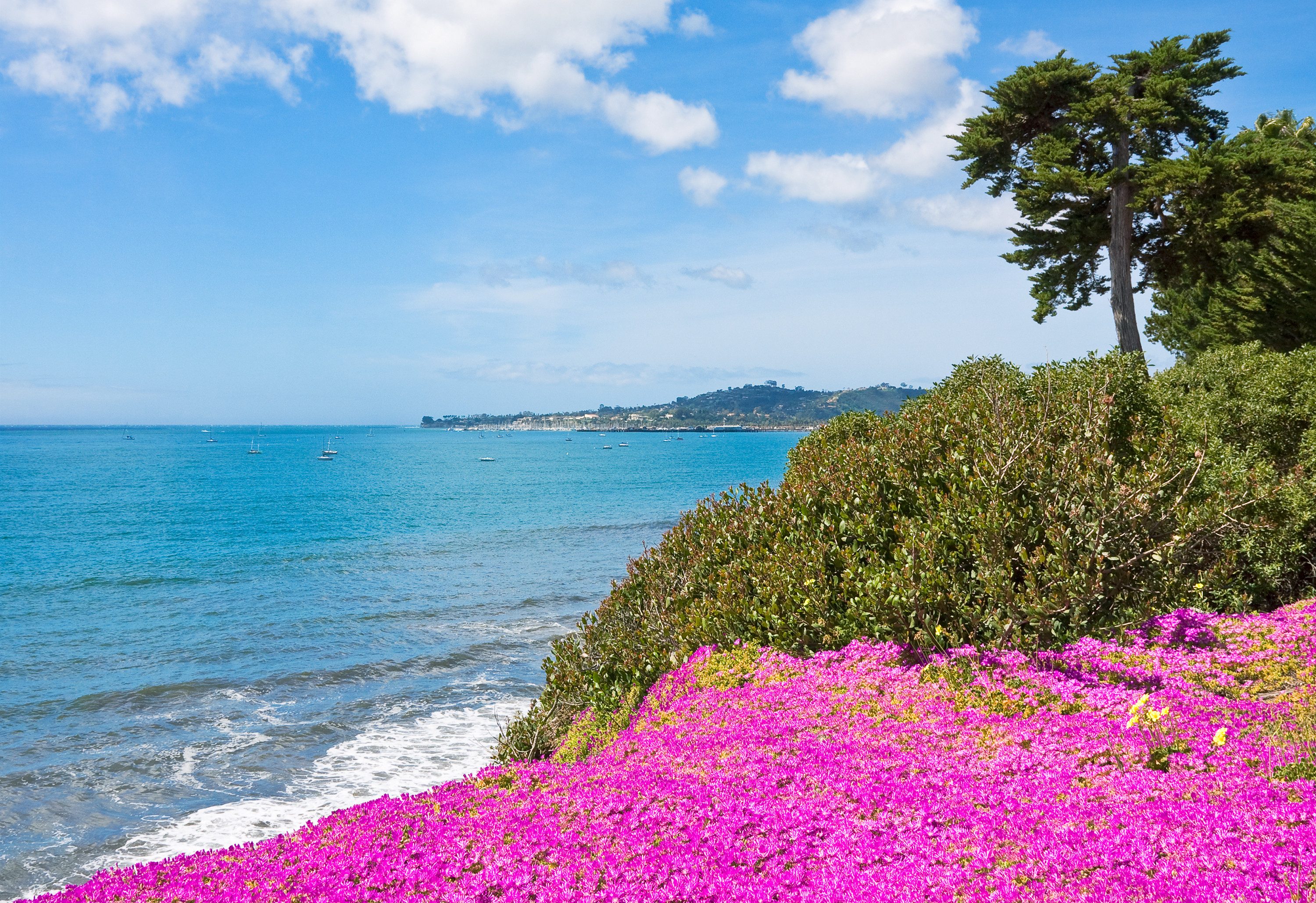 santa barbara