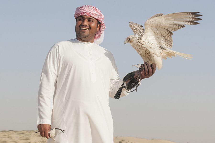 traditionele valkenier Dubai