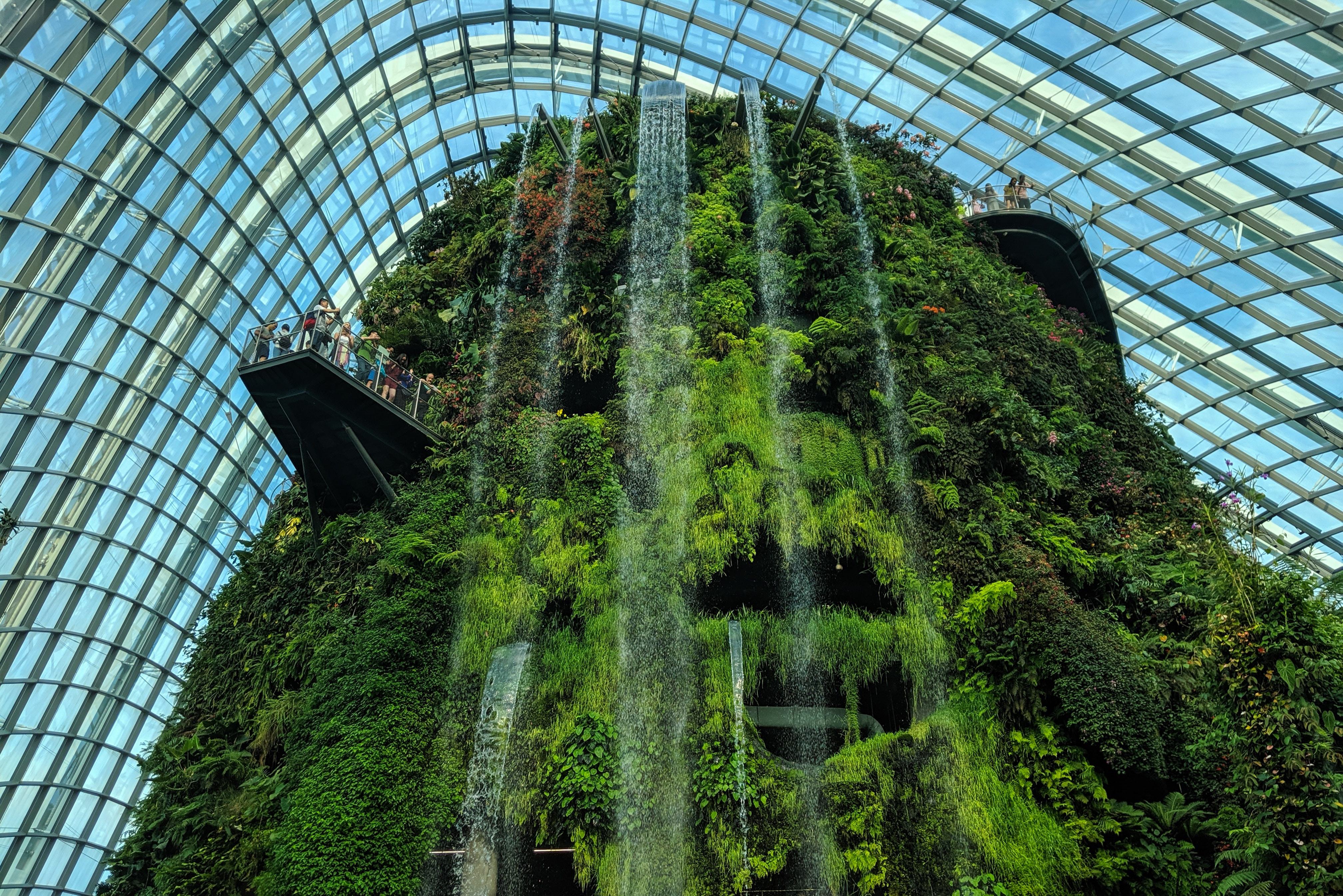 Singapore Gardens by the Bay