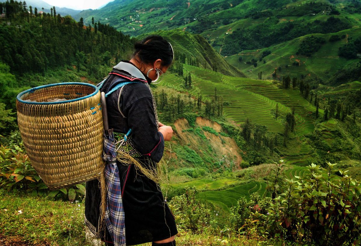 Xao vrouw in de regio Sapa in Vietnam