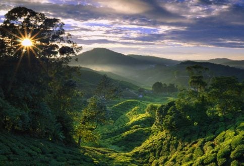 Cameron Highlands West Maleisie