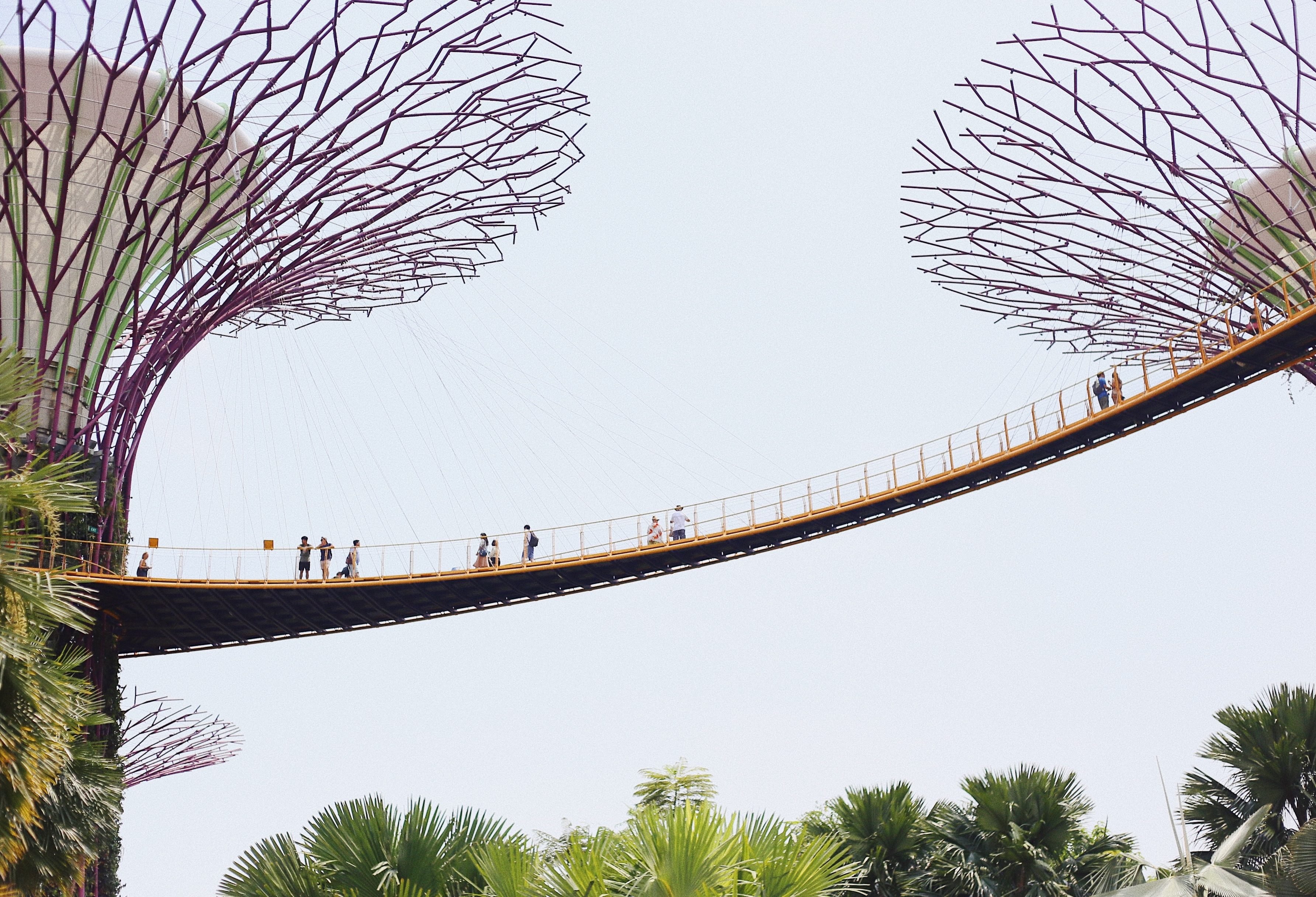 Gardens by the bay in Singapore